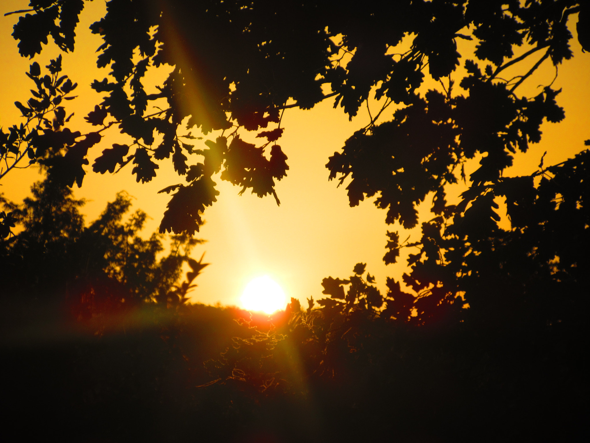 Canon PowerShot ELPH 340 HS (IXUS 265 HS / IXY 630) sample photo. Img coucher de soleil photography