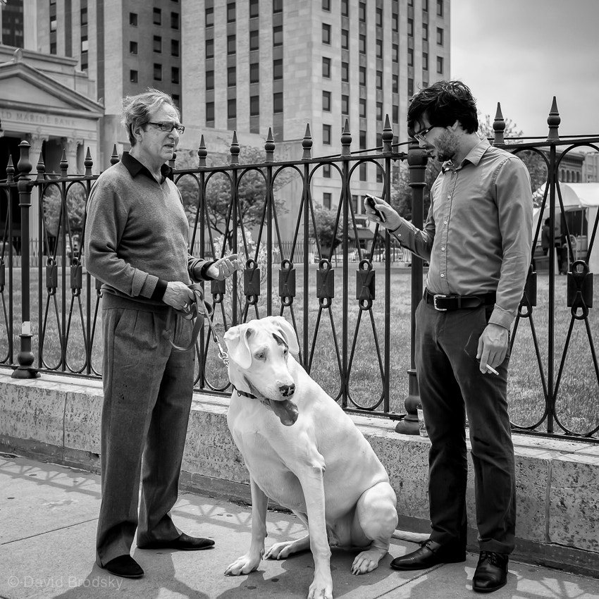 Sony Alpha NEX-7 + Sony Sonnar T* E 24mm F1.8 ZA sample photo. The white dog photography