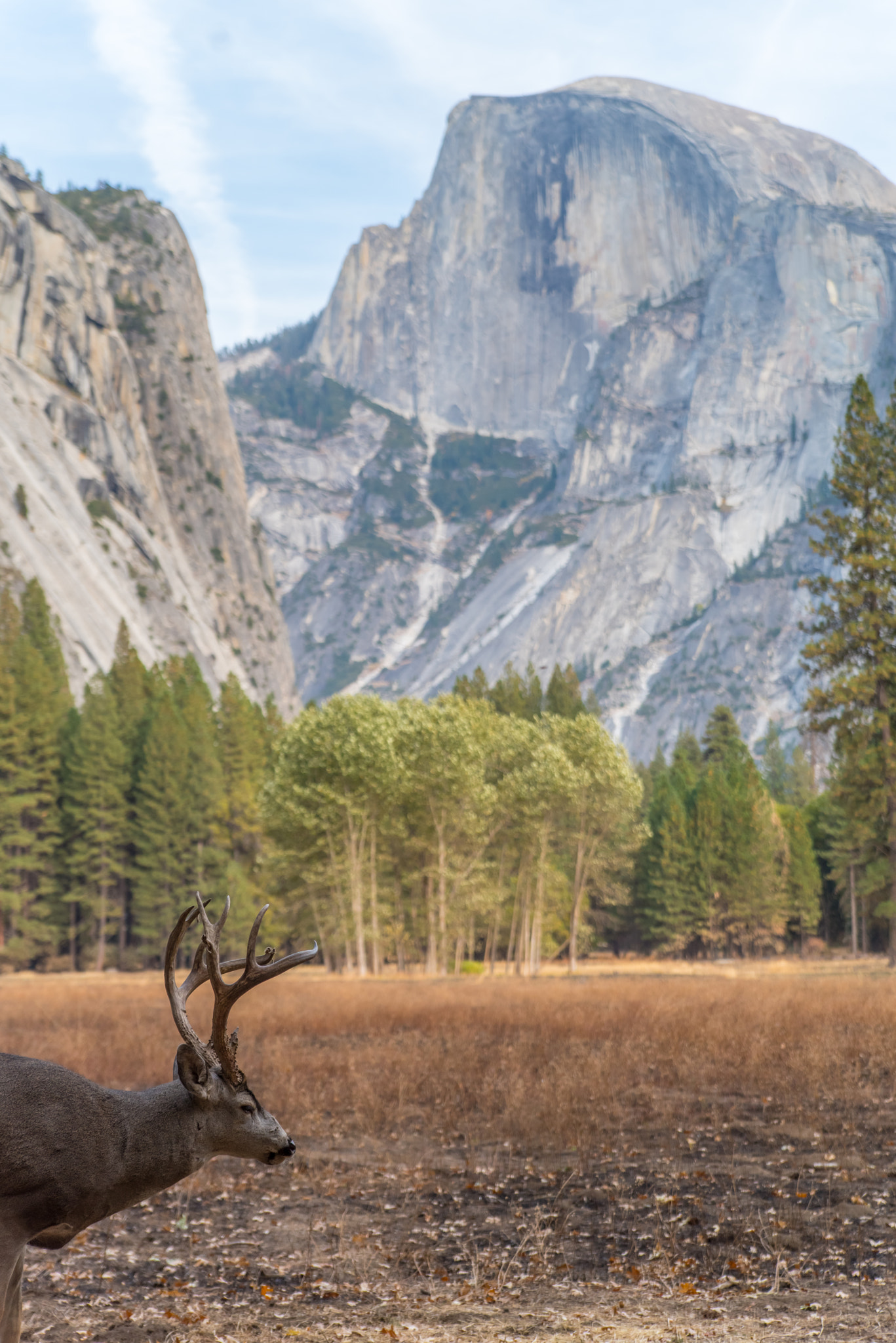 Tamron AF 28-75mm F2.8 XR Di LD Aspherical (IF) sample photo. Enjoying the half dome... photography