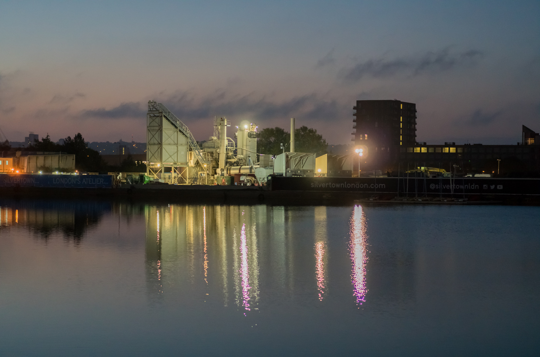 Sony a6300 + Sony Sonnar T* FE 55mm F1.8 ZA sample photo. Silvertown white plant photography