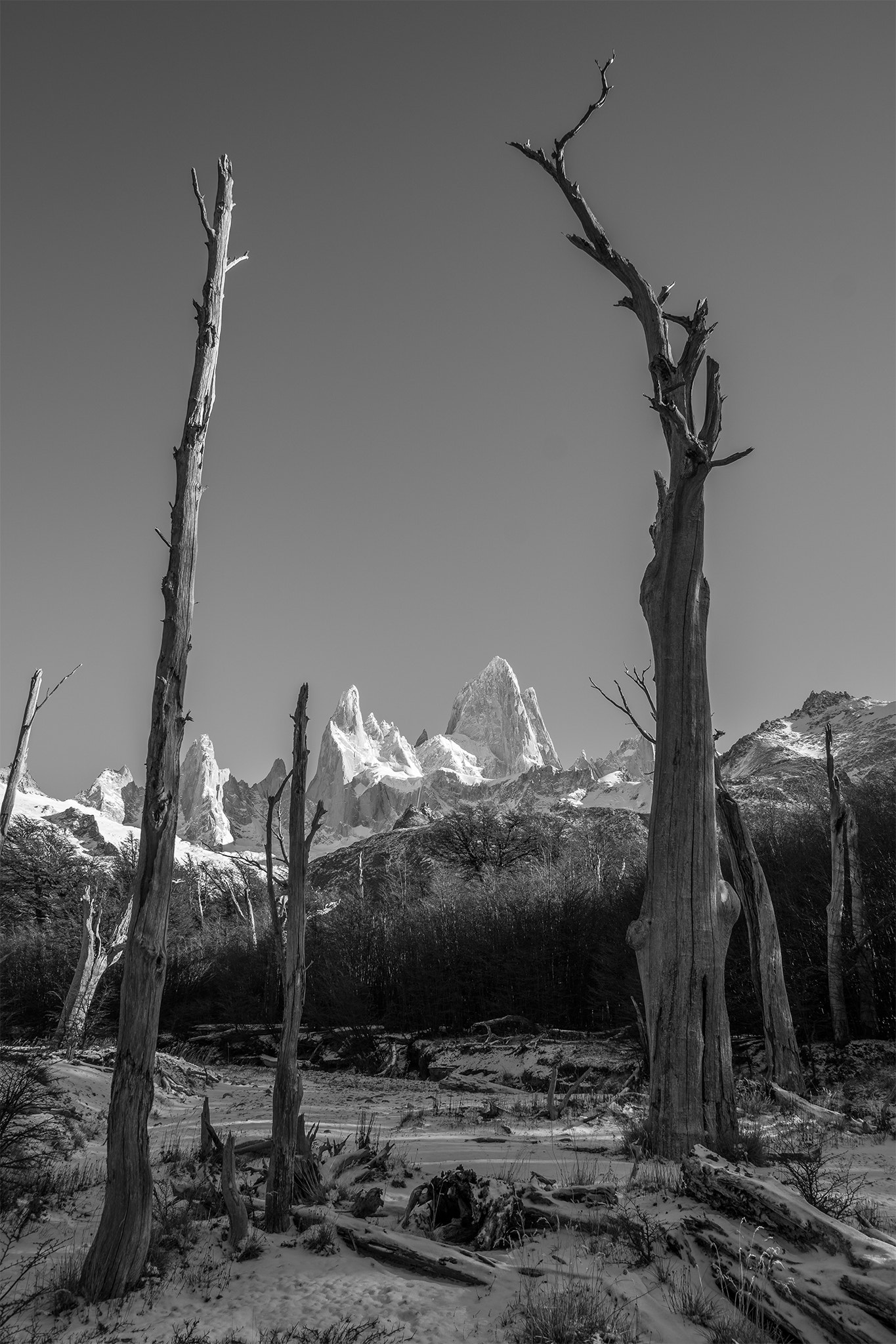 Sony ILCA-77M2 sample photo. Fitz roy b&w photography
