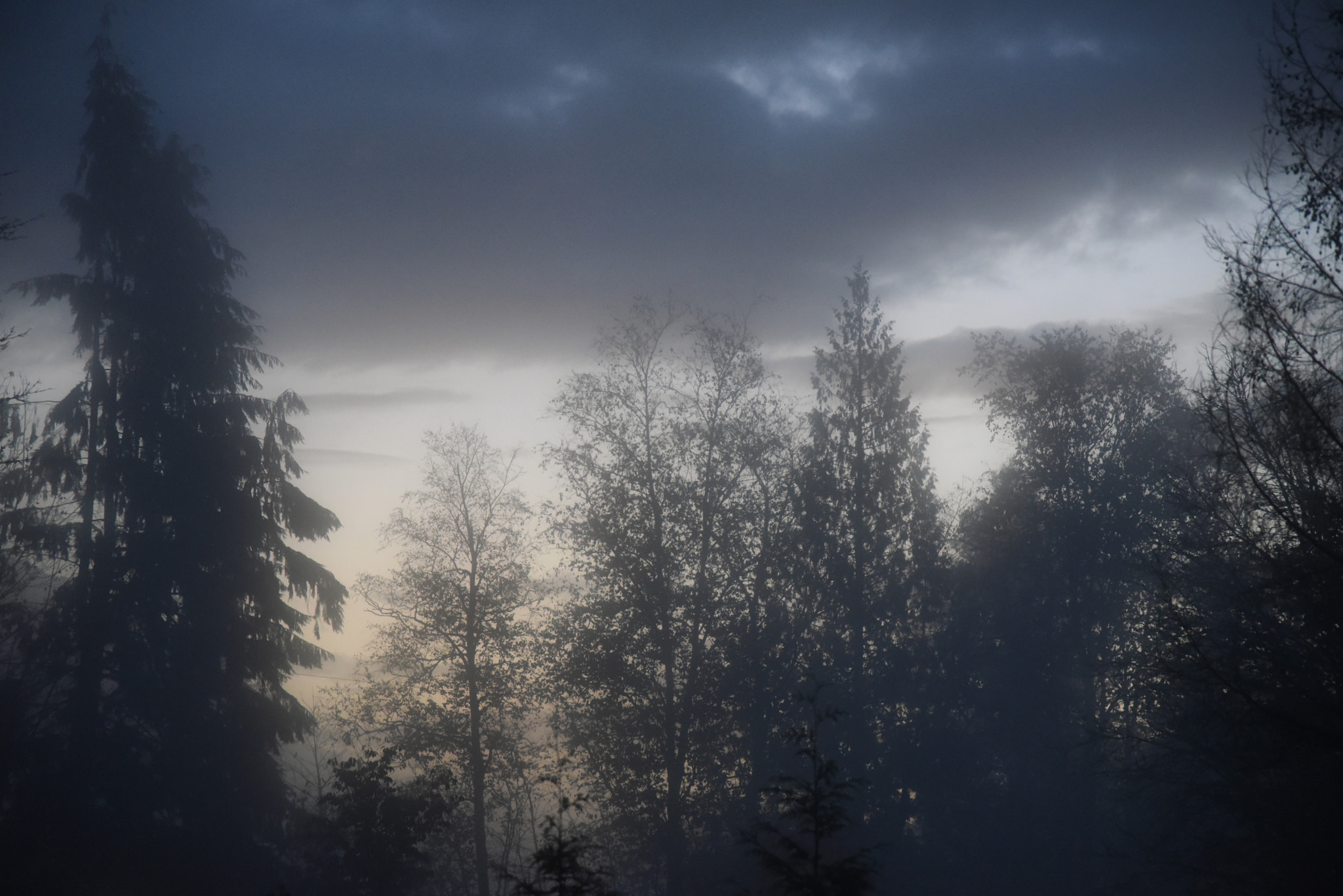 Nikon D750 + Sigma 10mm F2.8 EX DC HSM Diagonal Fisheye sample photo. Foggy morning photography