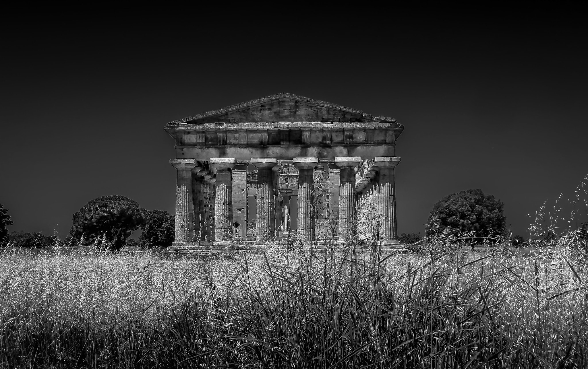 CASIO EX-Z90 sample photo. Paestum photography