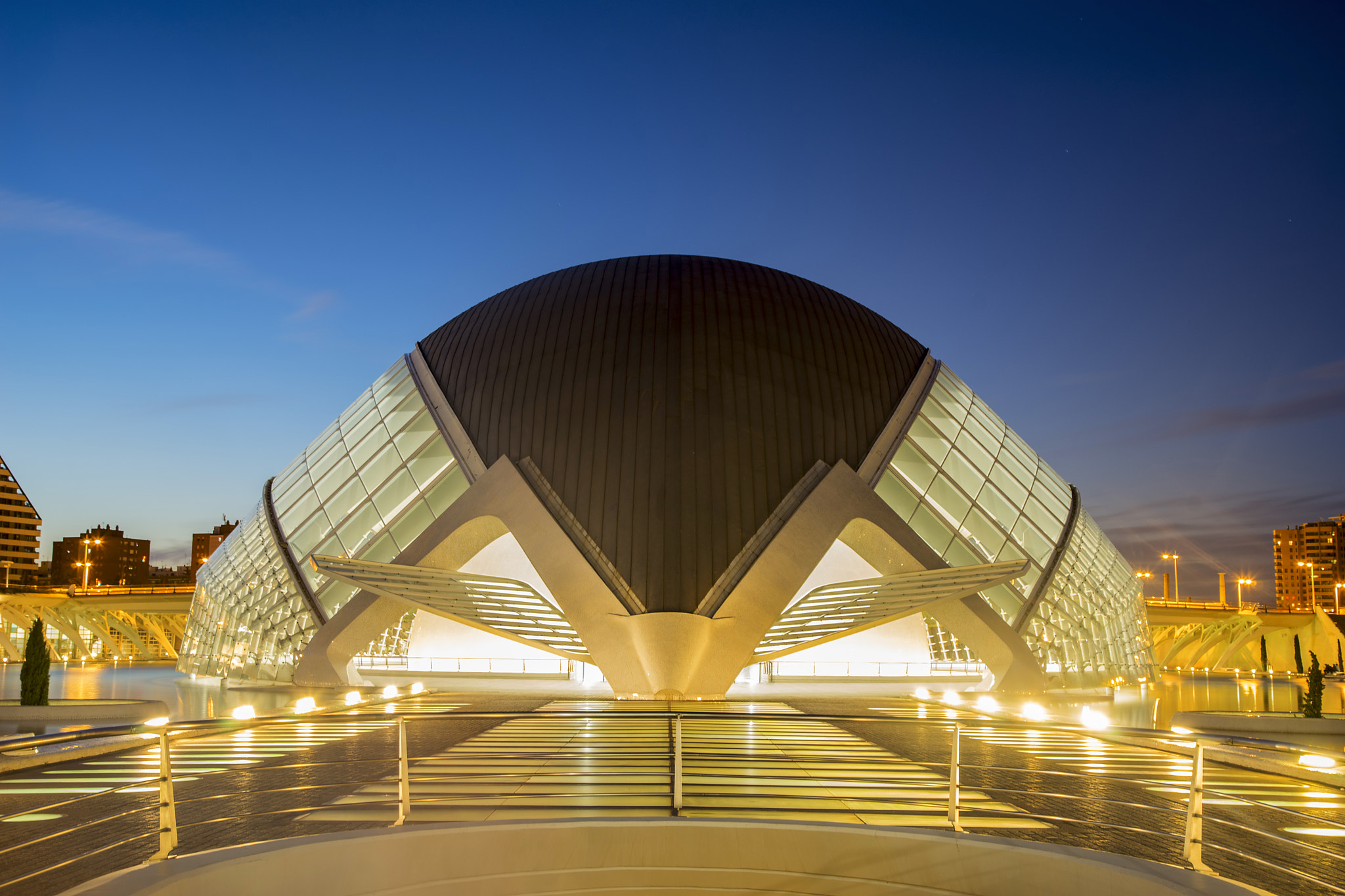 Sony a7 + Canon EF 24-105mm F4L IS USM sample photo. Ciudad de las artes y las ciencias photography