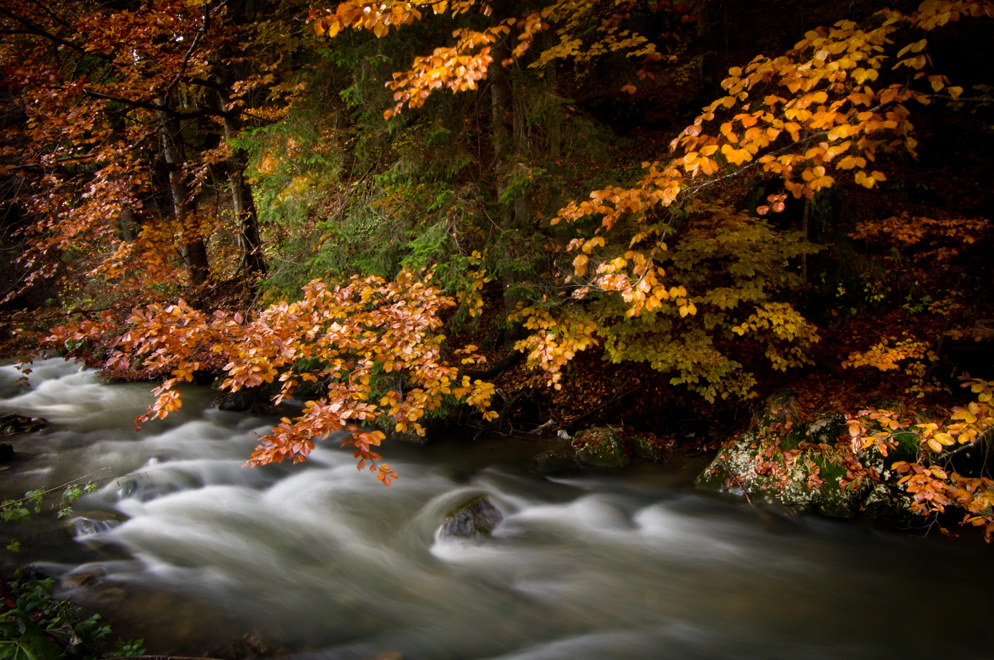 Pentax K-x sample photo. Autumn in transylvania photography