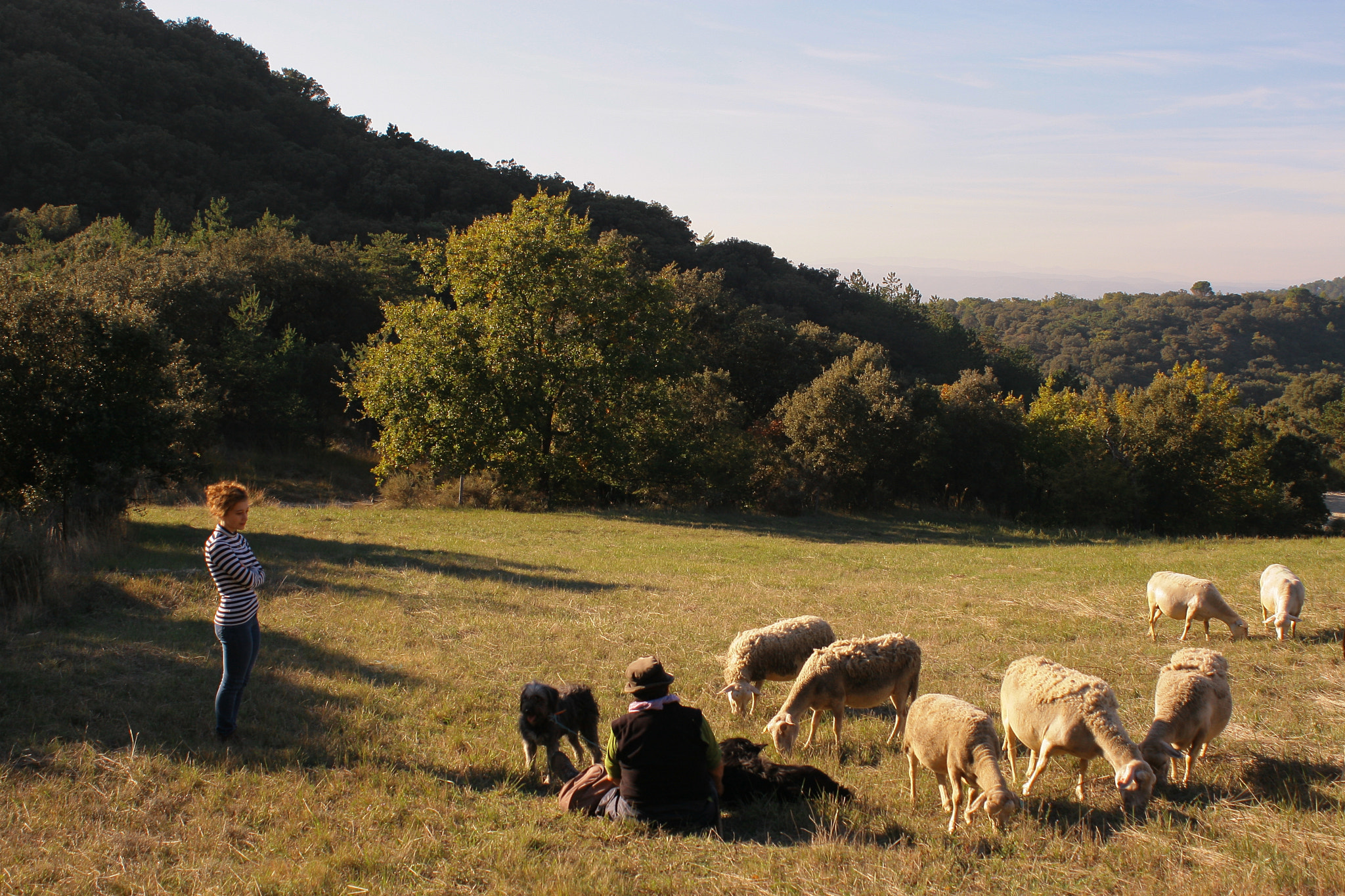 Canon EF 28-80mm f/3.5-5.6 USM IV sample photo. Shepherdesses and sheep photography