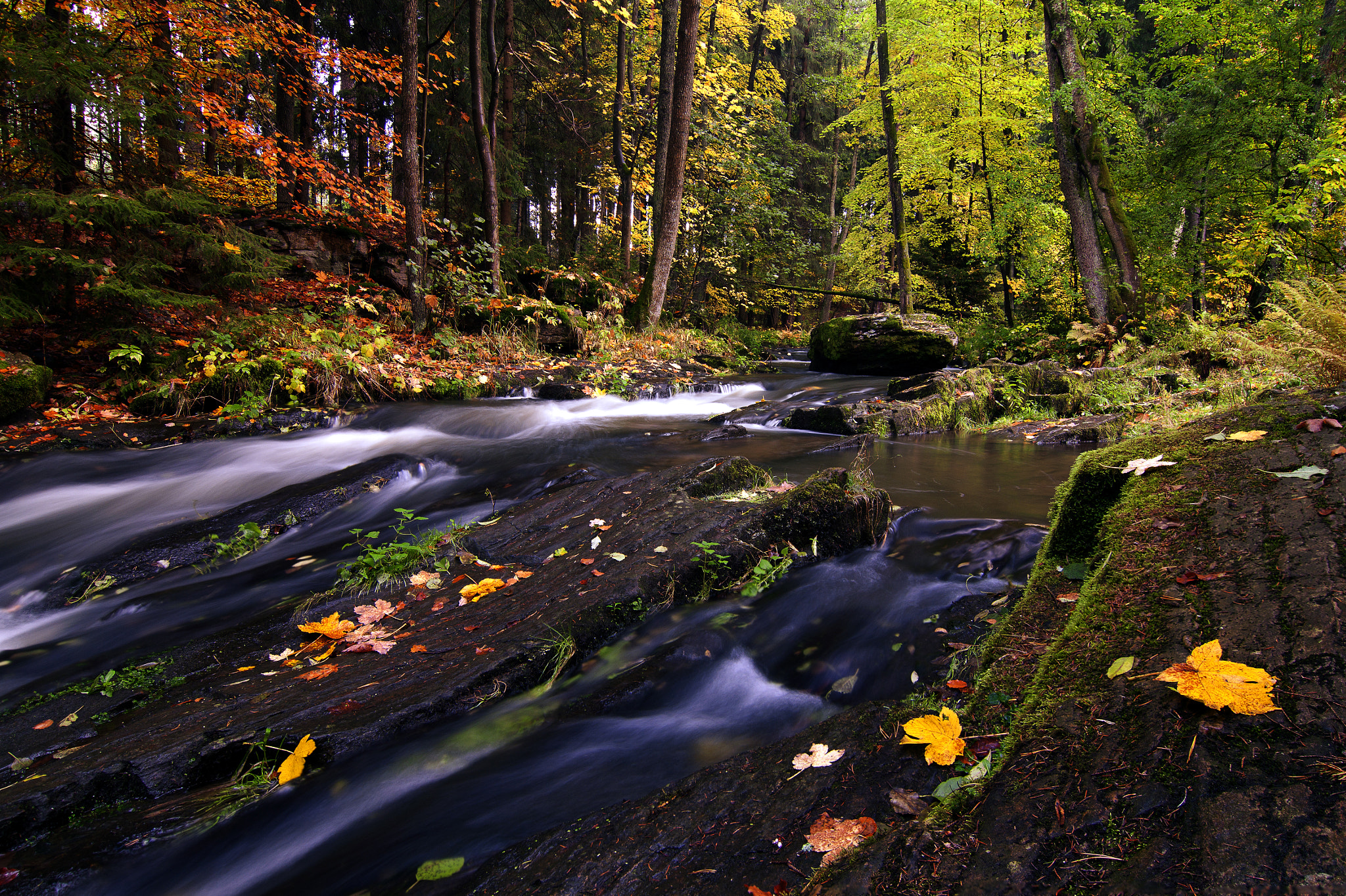 Tokina AT-X Pro 12-24mm F4 (IF) DX sample photo. údolí doubravy, doubrava valley photography