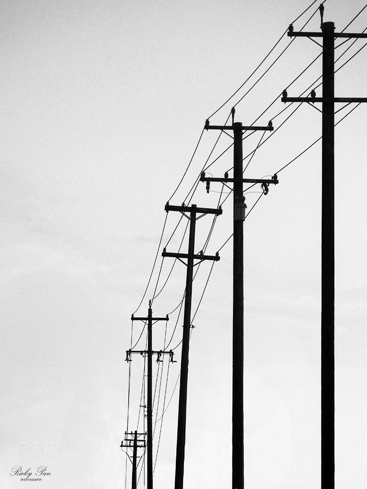Olympus OM-D E-M5 II sample photo. Poles photography