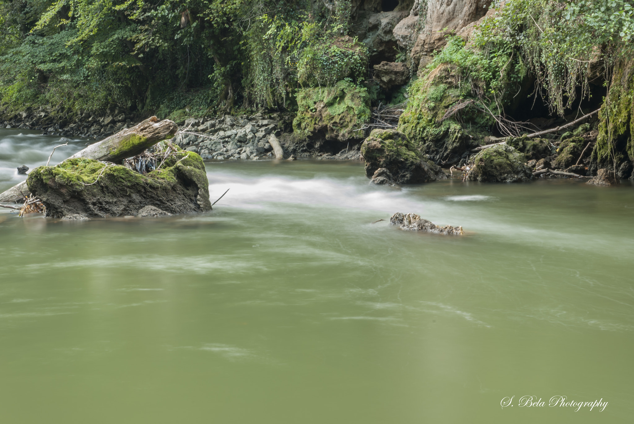 Nikon D80 sample photo. Cris river photography