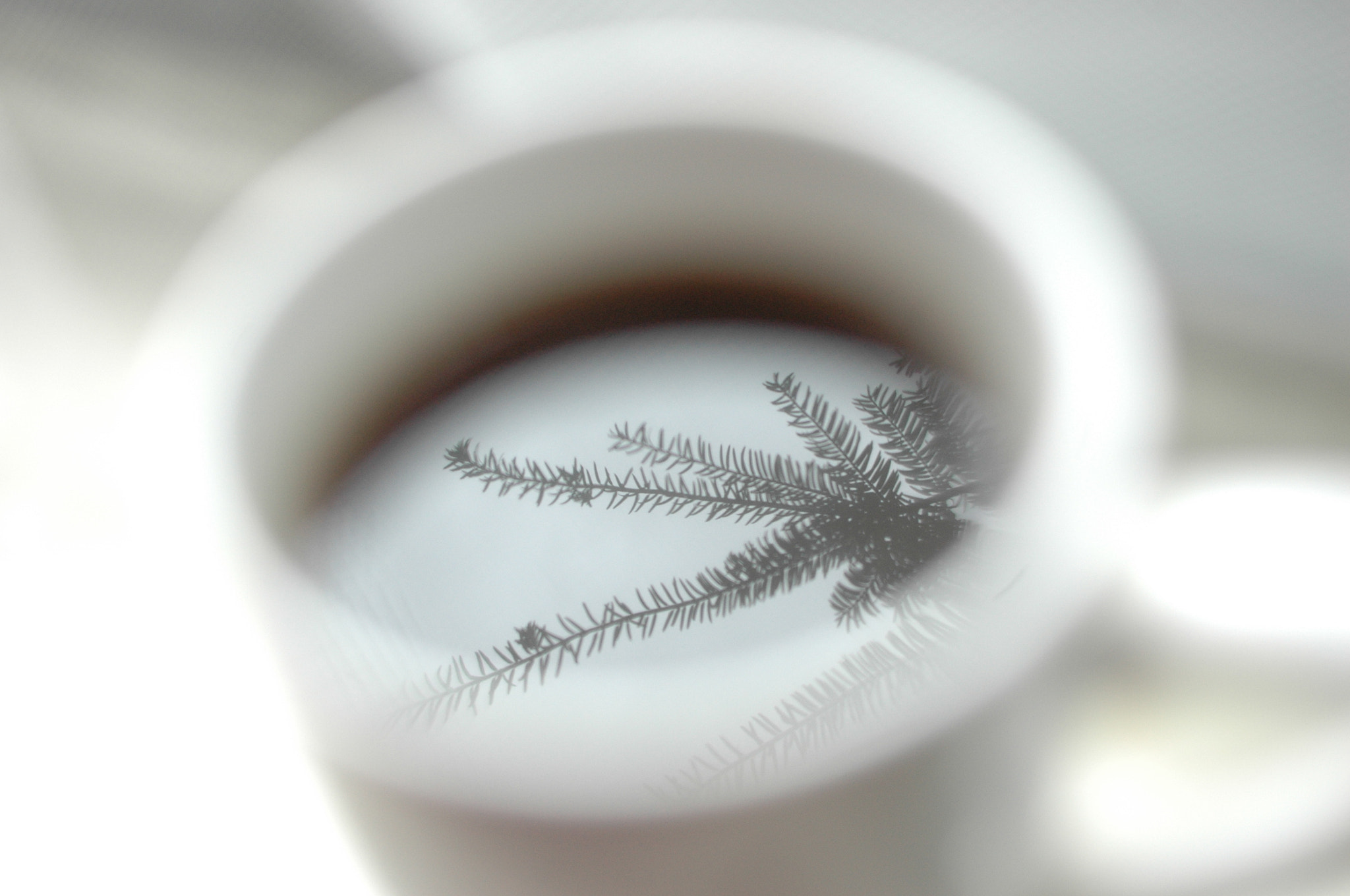 Nikon D70 sample photo. Reflexions on my coffee photography
