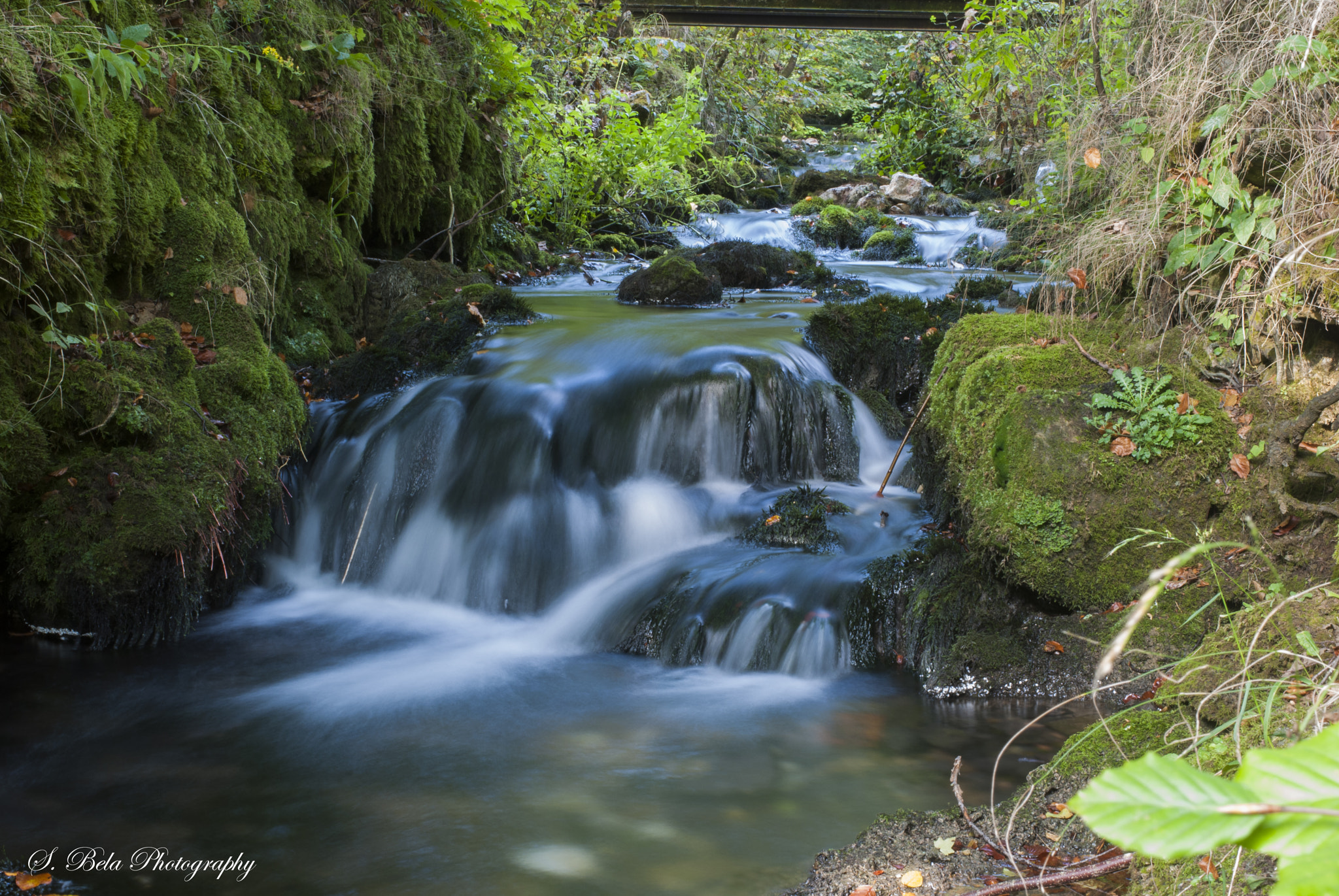 Nikon D80 sample photo. Cave creek photography
