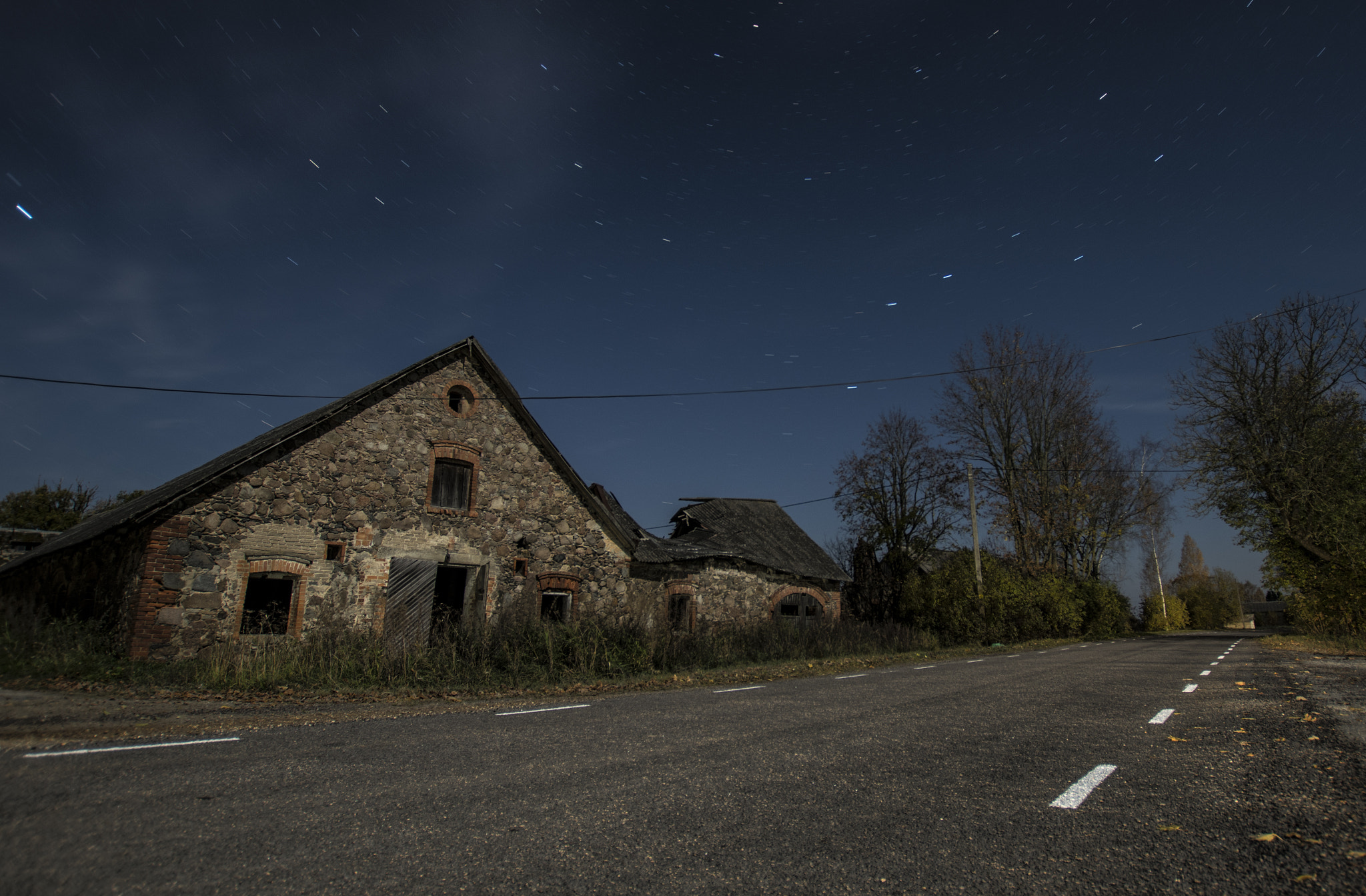 Sigma 10-20mm F3.5 EX DC HSM sample photo. Tammistu tall photography