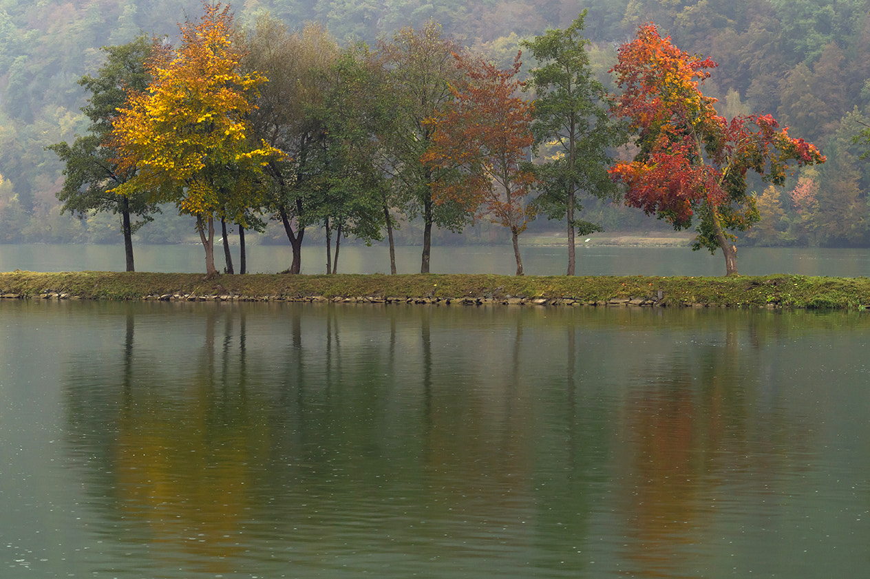 Sony SLT-A58 + Minolta AF 70-210mm F4 Macro sample photo. Autumn colors photography