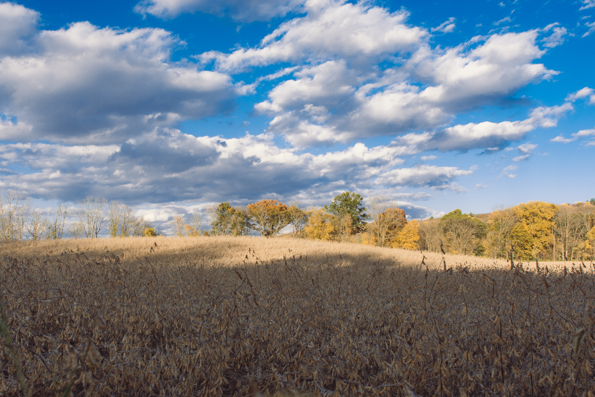 Nikon D7200 + Sigma 24mm F1.8 EX DG Aspherical Macro sample photo. Landscape photography