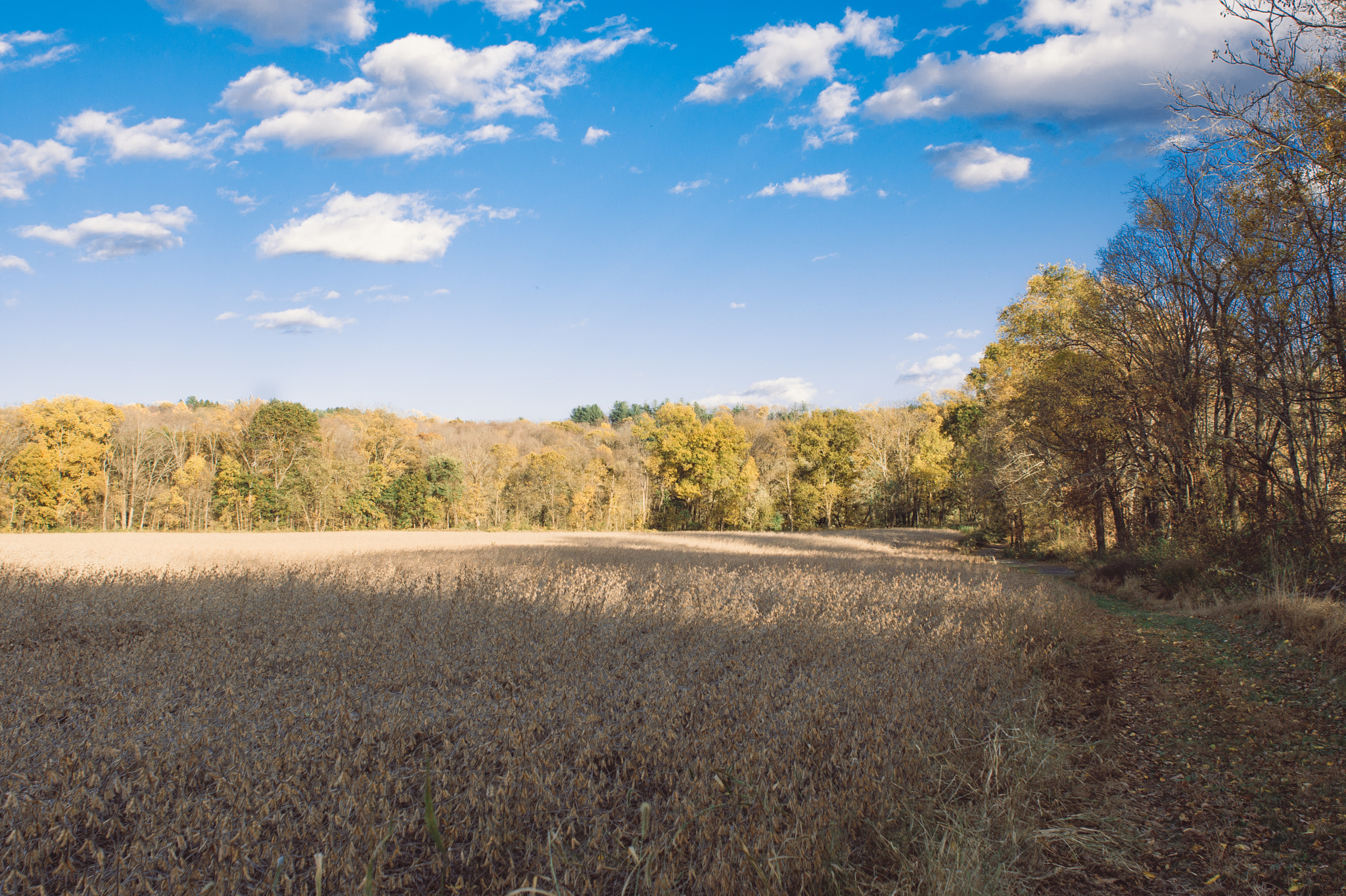 Sigma 24mm F1.8 EX DG Aspherical Macro sample photo. Landscape photography