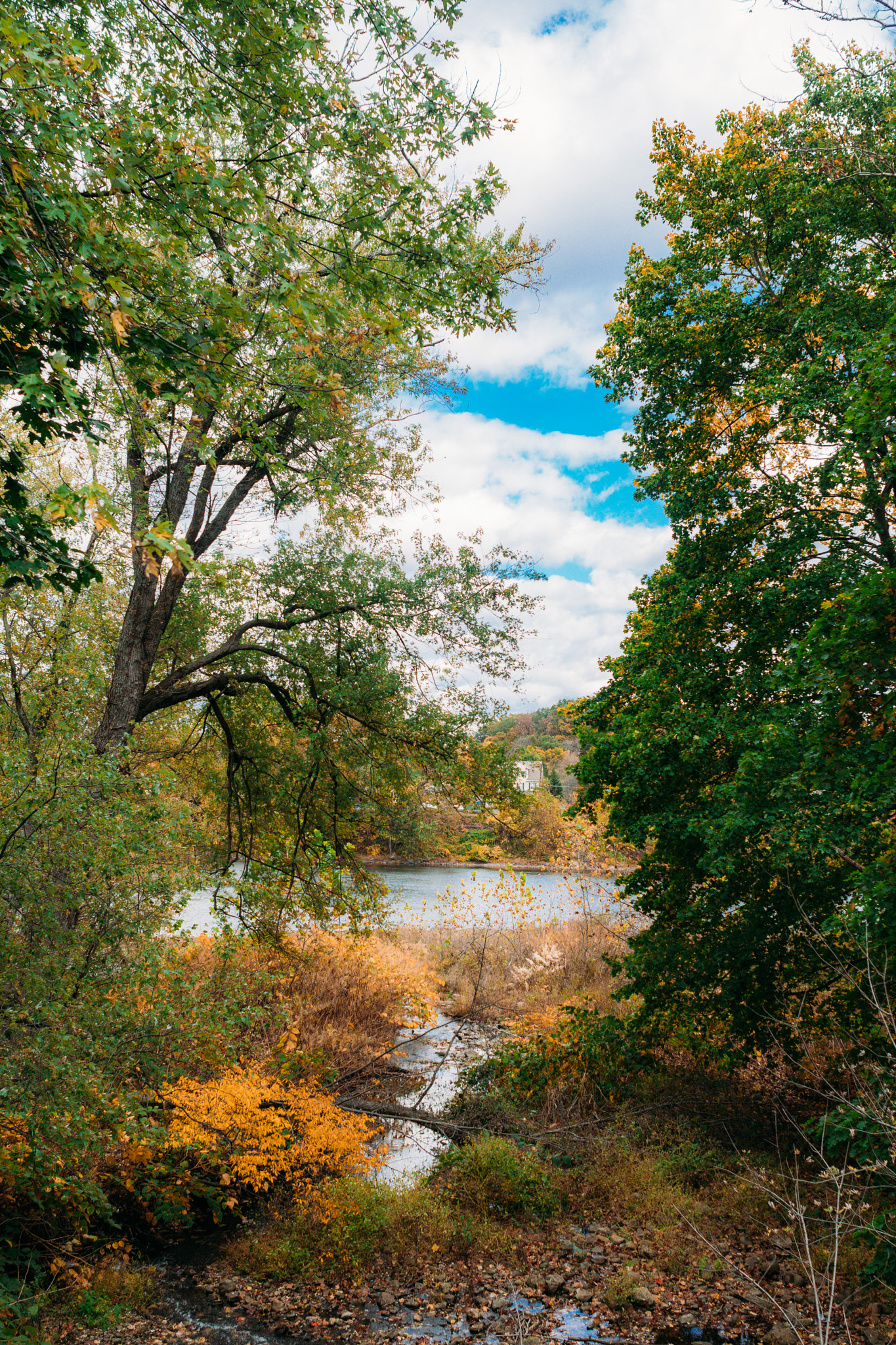 Nikon D7200 + Sigma 24mm F1.8 EX DG Aspherical Macro sample photo. Landscape photography