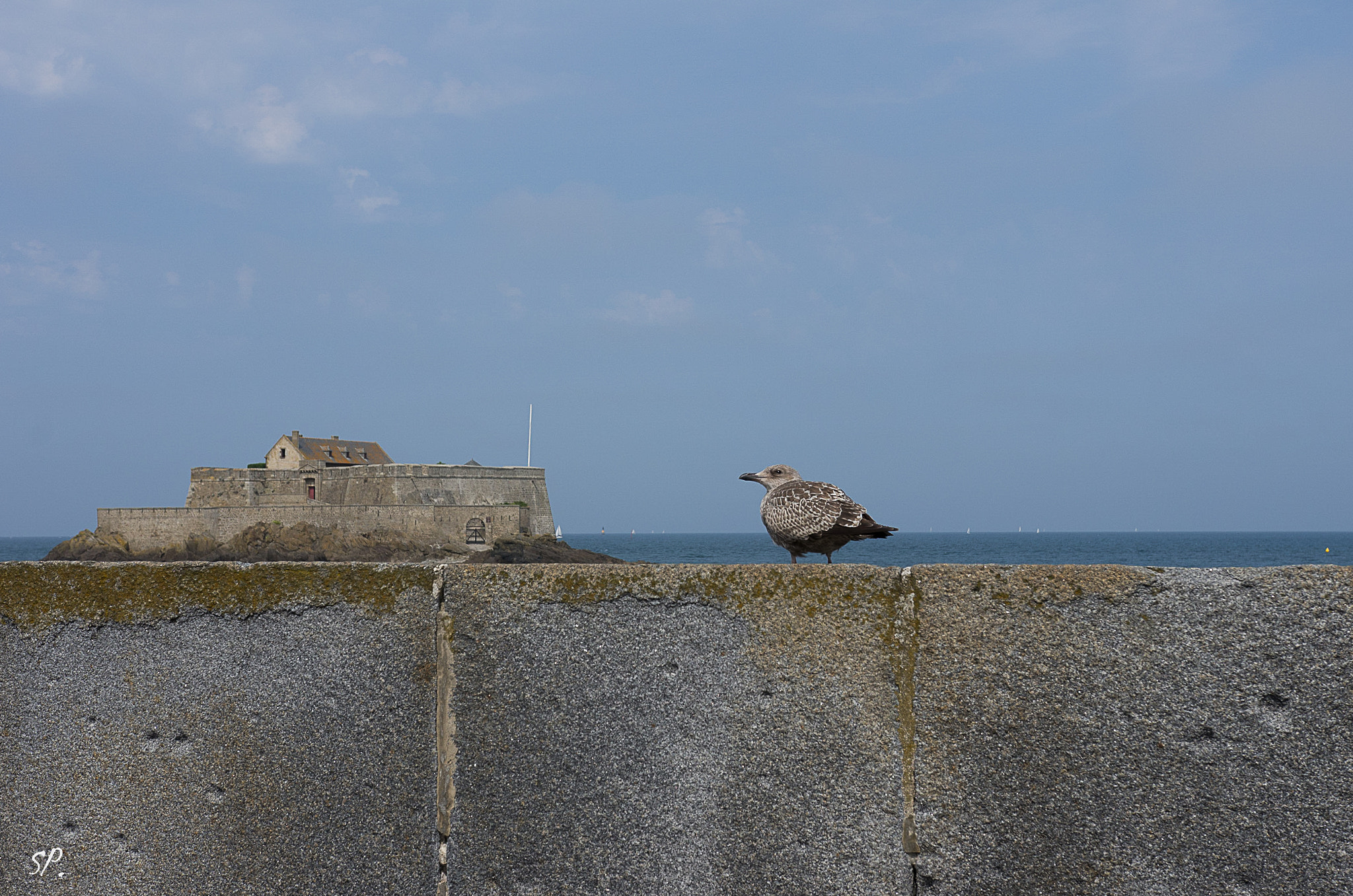 Pentax K-5 + Sigma 18-35mm F1.8 DC HSM Art sample photo. Tu veux ma photo photography