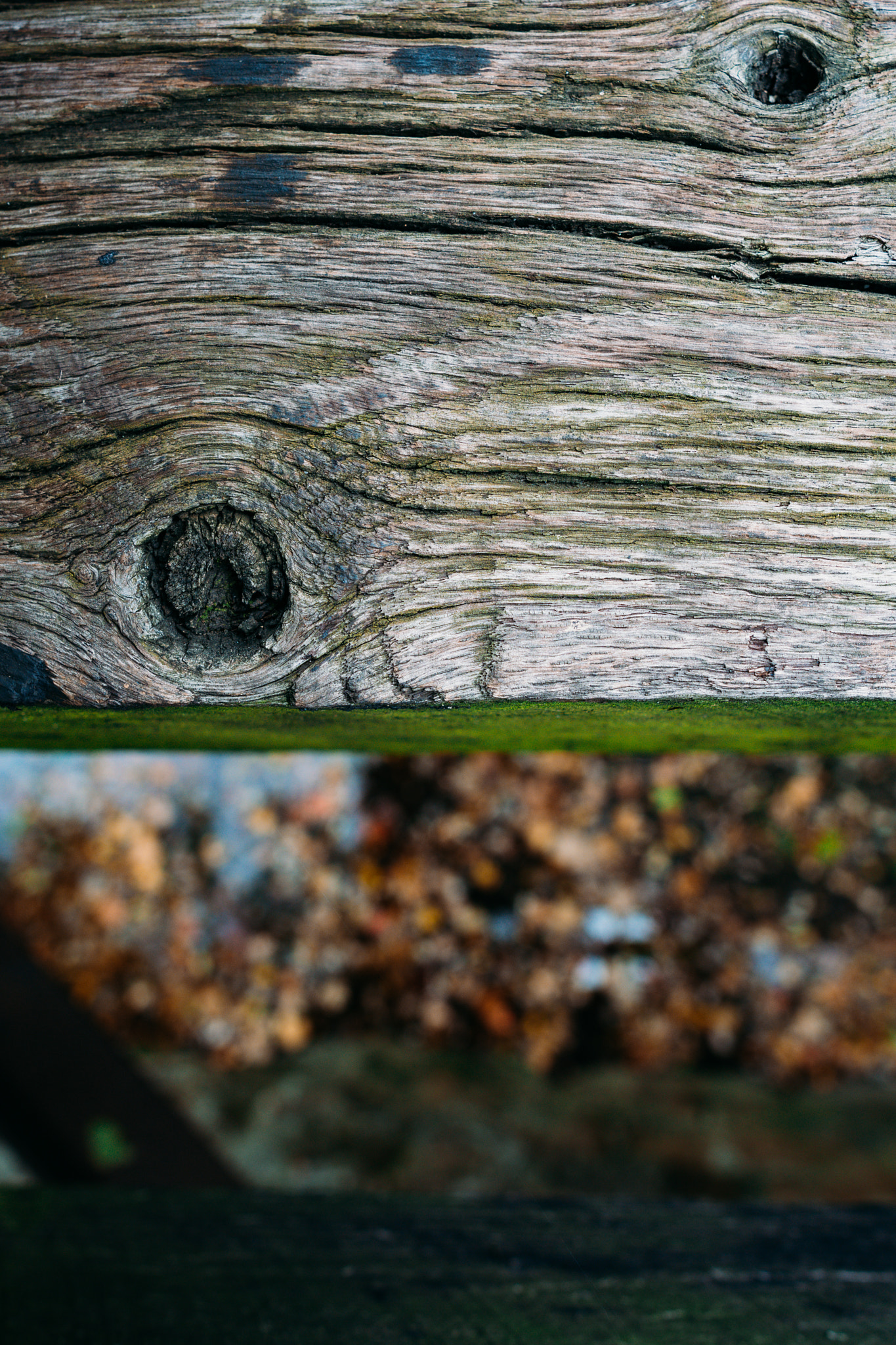 Nikon D7200 + Sigma 24mm F1.8 EX DG Aspherical Macro sample photo. Landscape photography