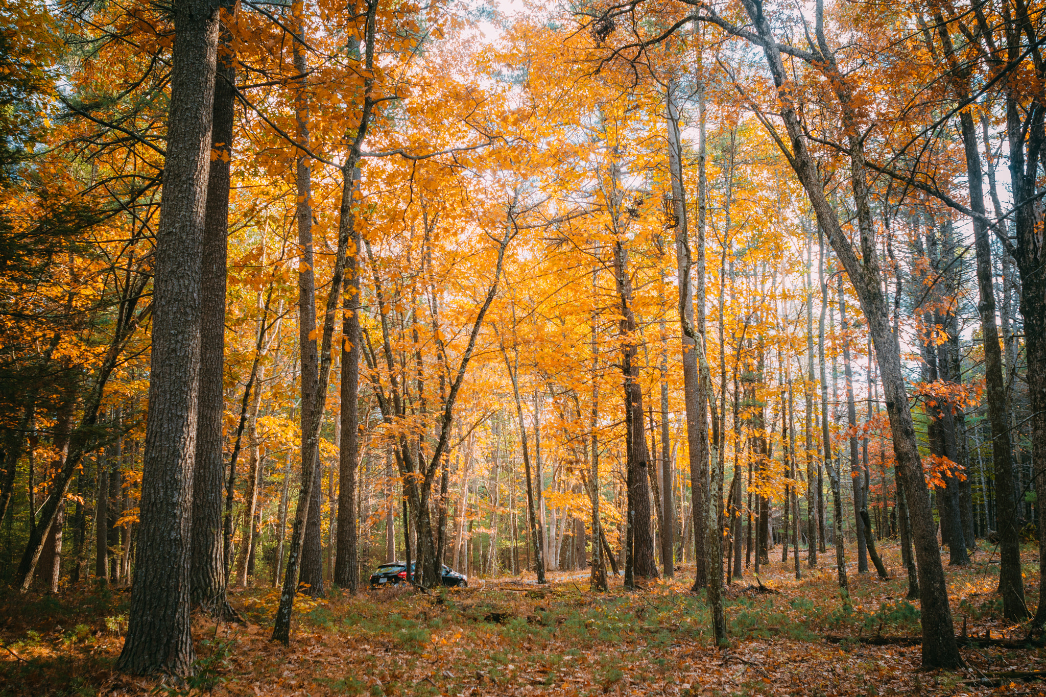 Nikon D7200 + Sigma 24mm F1.8 EX DG Aspherical Macro sample photo. Landscape photography