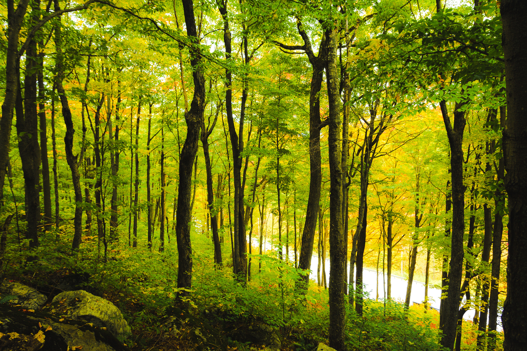 Sigma 17-70mm F2.8-4 DC Macro OS HSM sample photo. Landscape photography