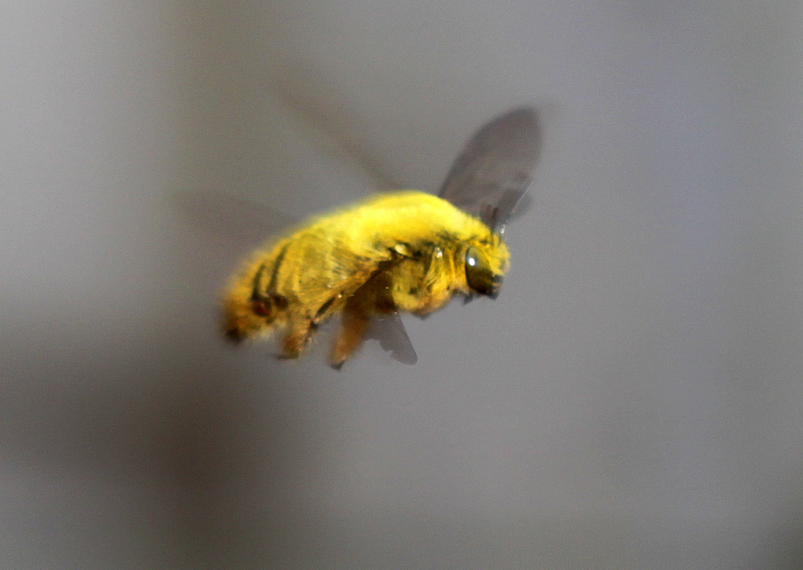 Canon EF 100mm F2.8 Macro USM sample photo. Img photography