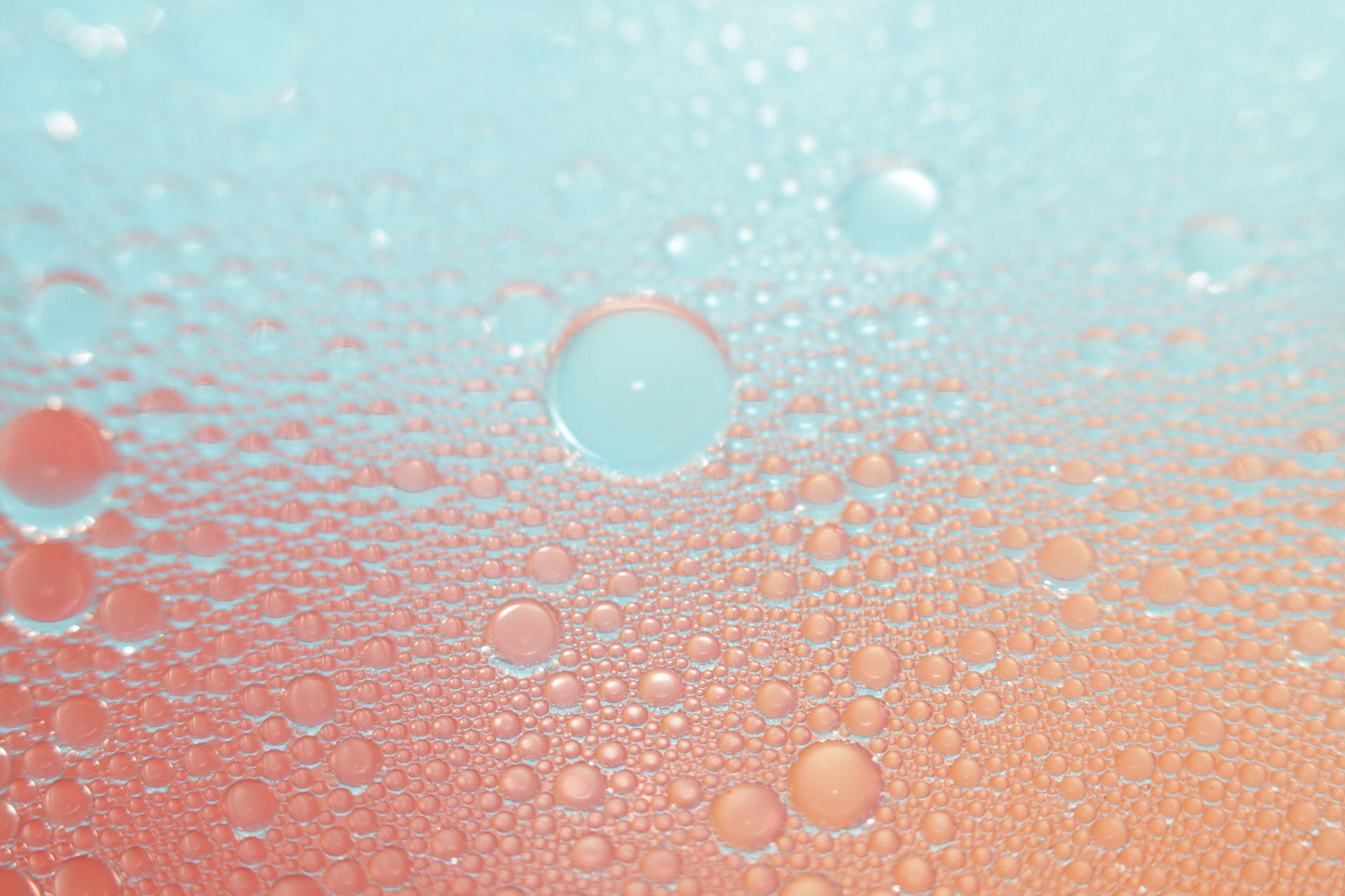 Canon EF 100mm F2.8 Macro USM sample photo. Img photography