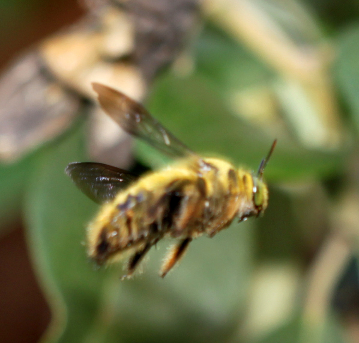 Canon EF 100mm F2.8 Macro USM sample photo. Img photography
