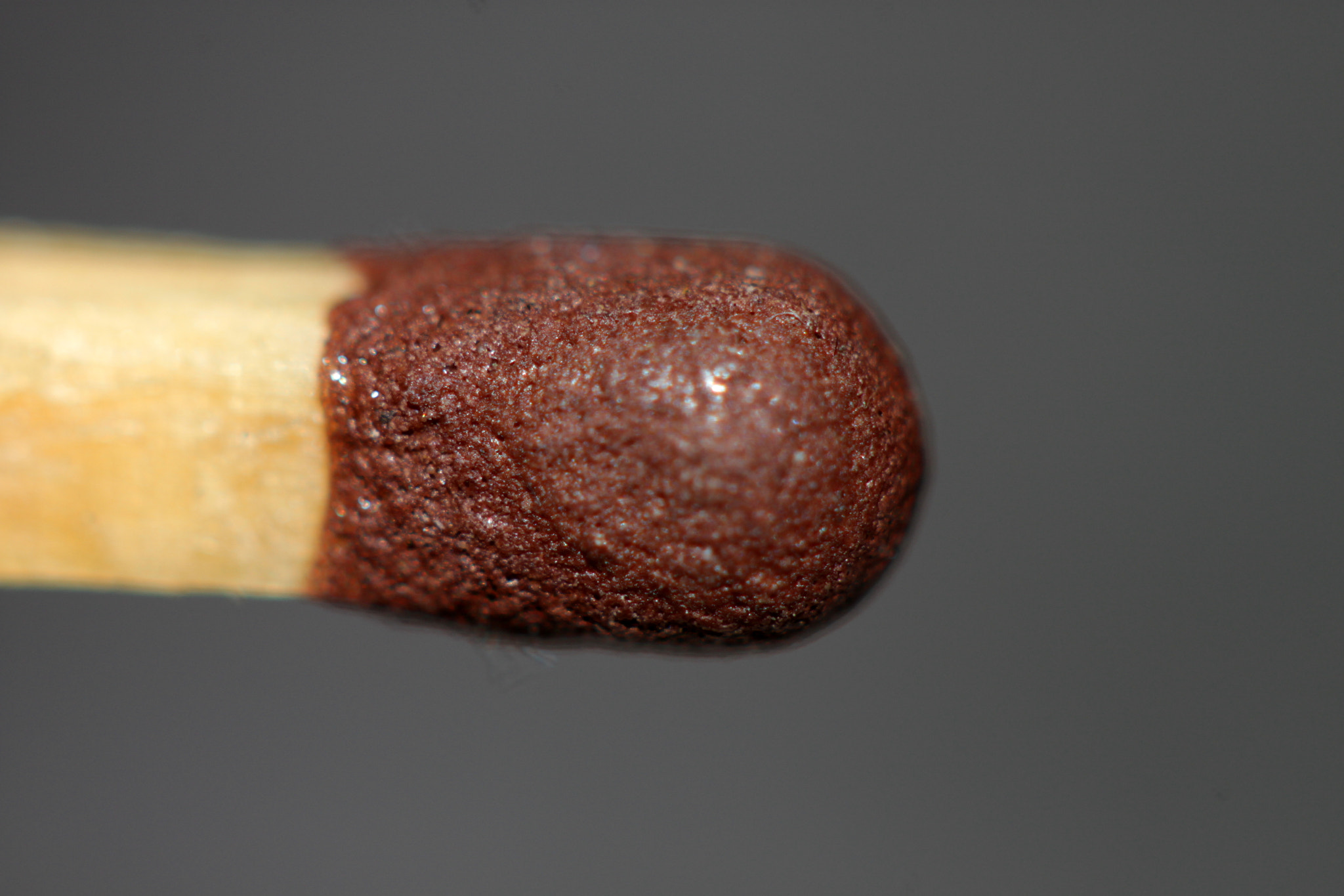 Canon EF 100mm F2.8 Macro USM sample photo. Img photography