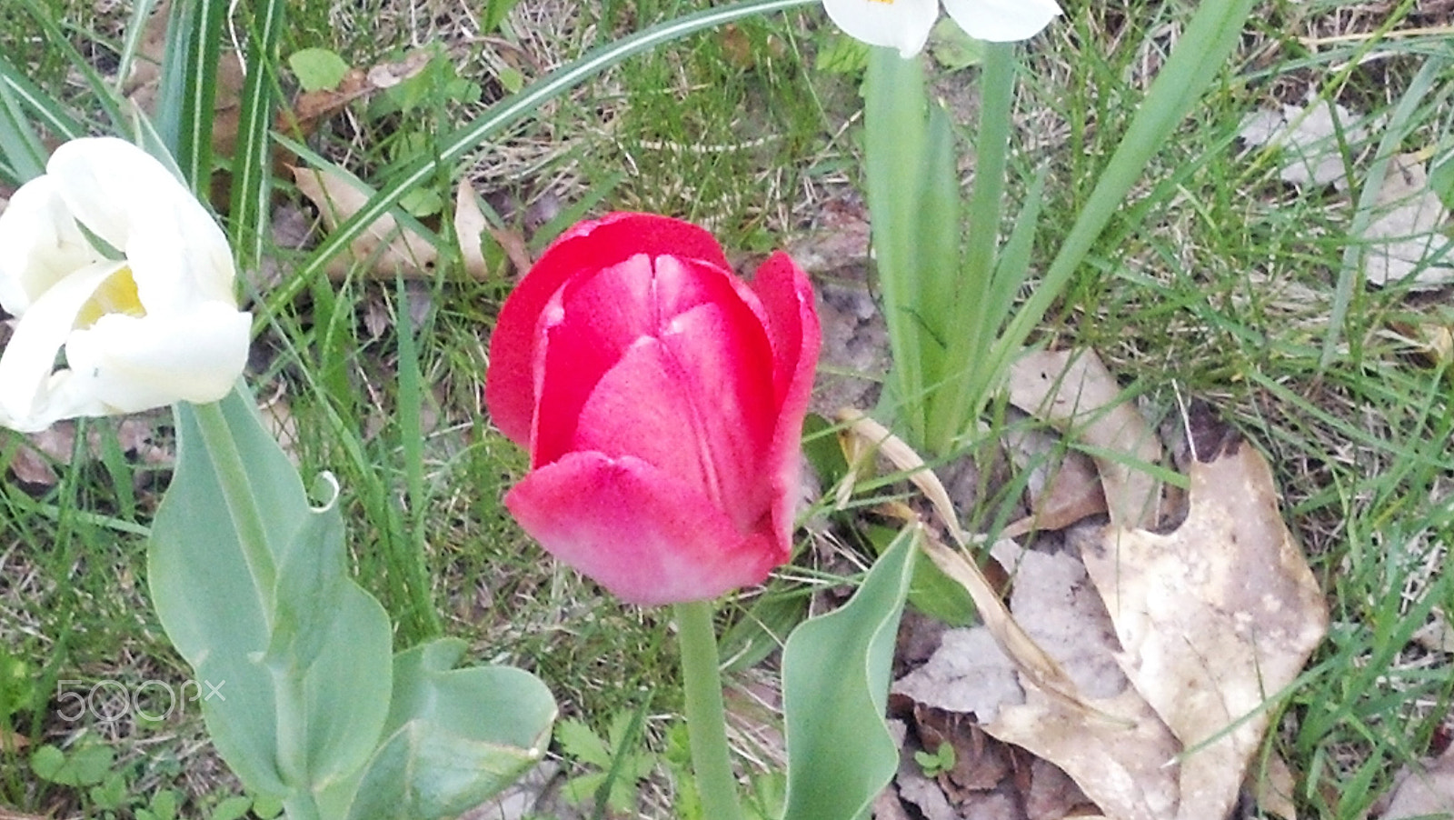 Motorola DROID RAZR sample photo. Img_20140511_194942_306.jpg photography
