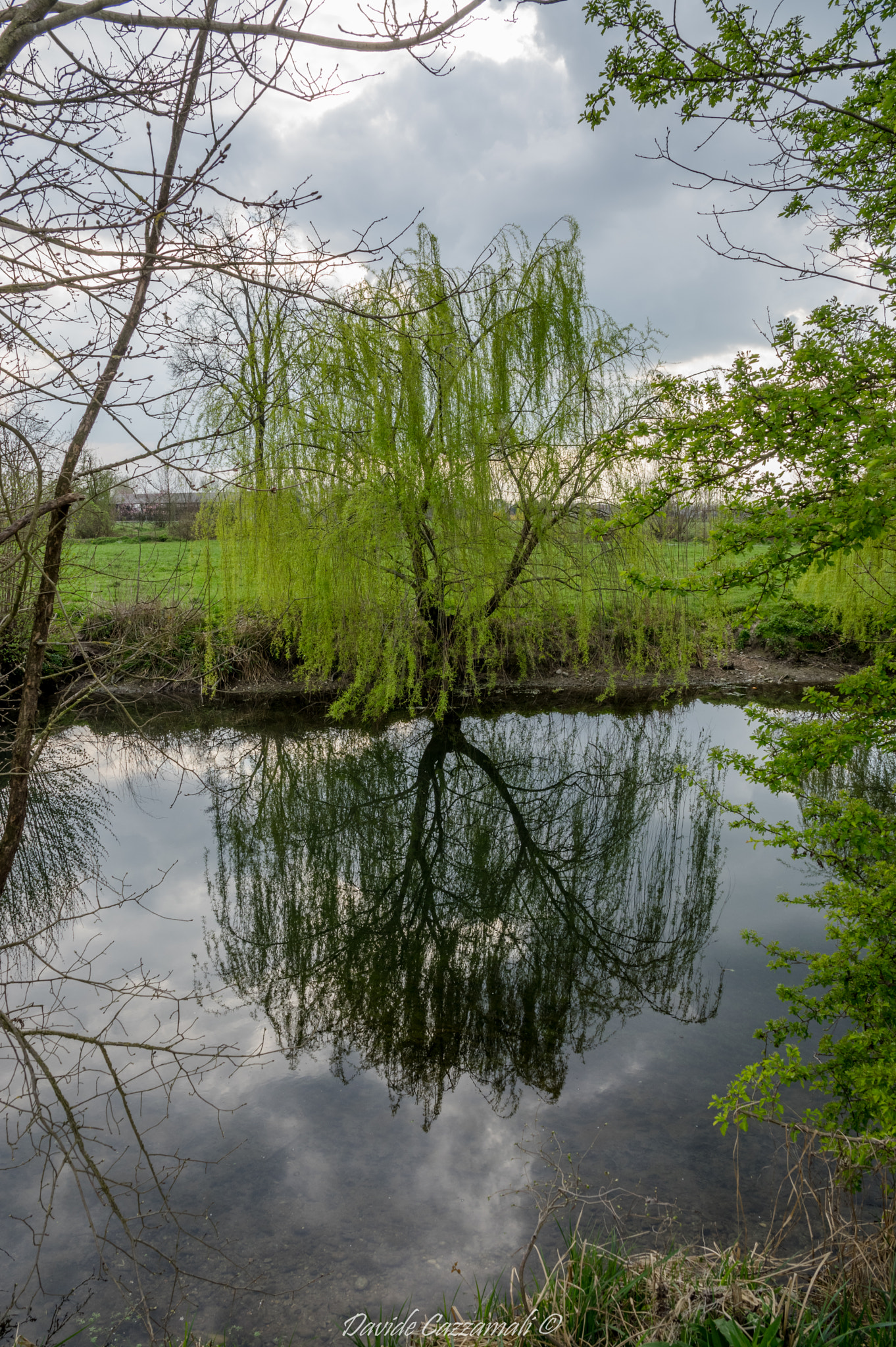 Pentax K-3 sample photo. Tormo photography