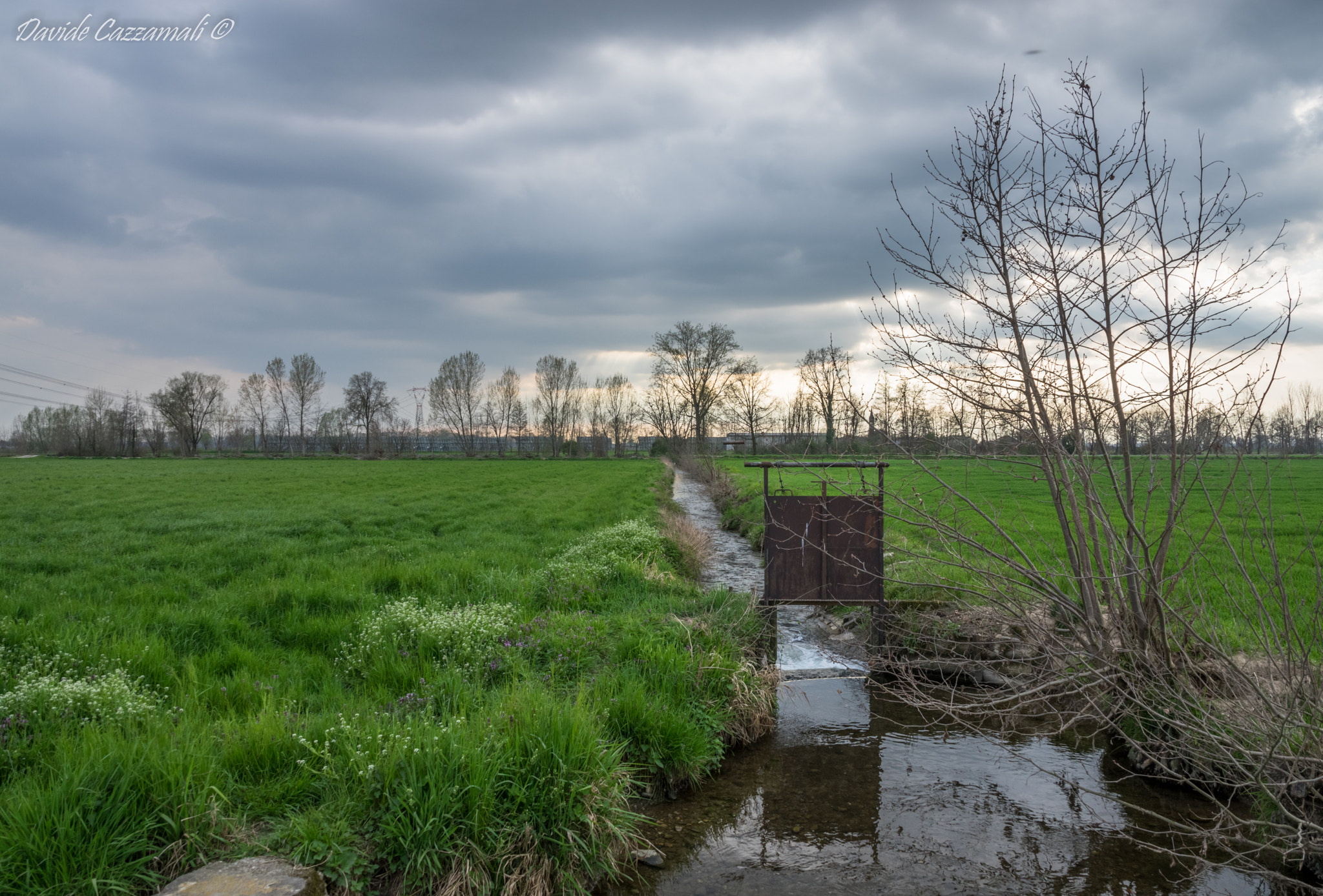 Pentax K-3 sample photo. Fields photography