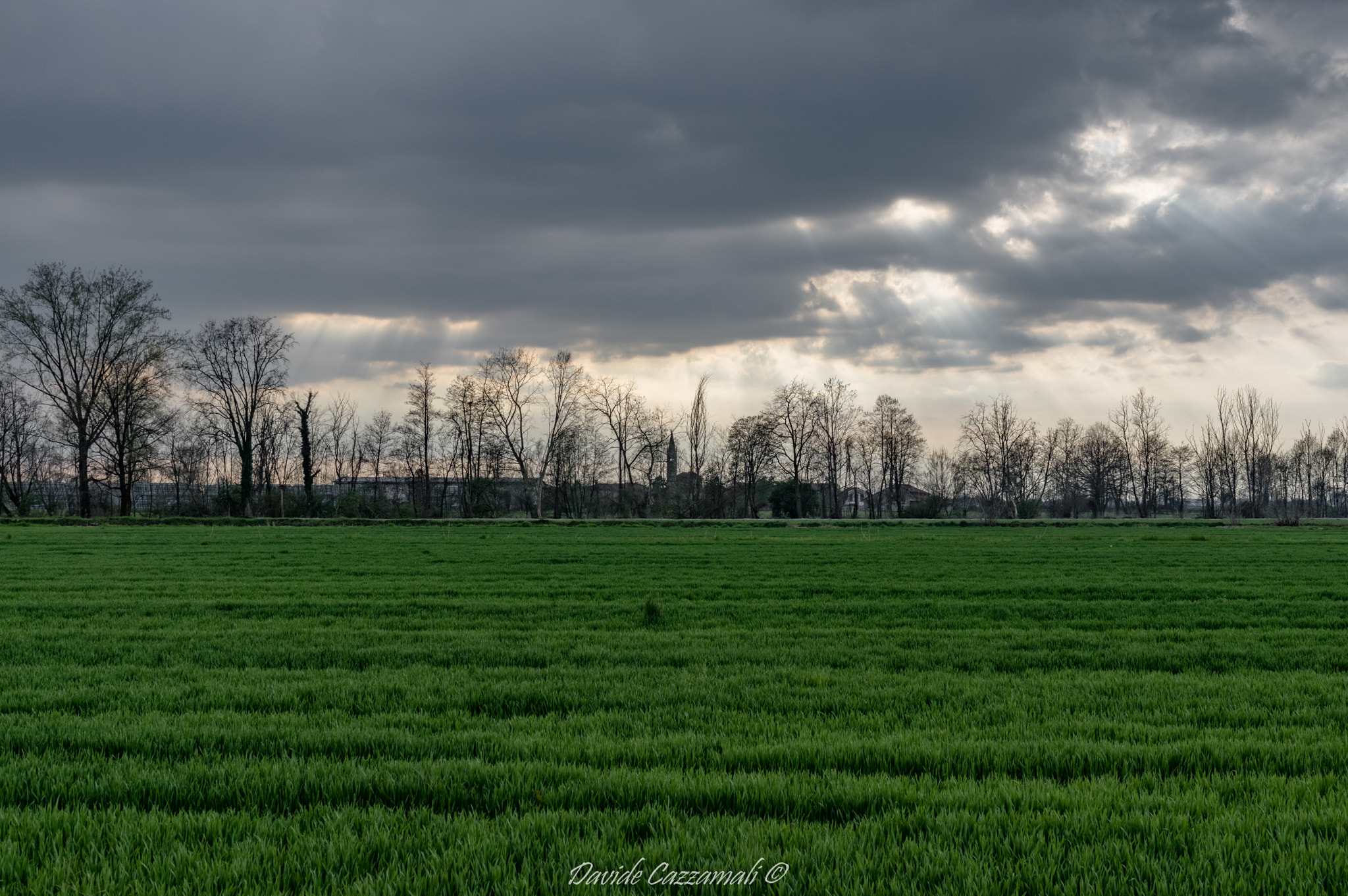 Pentax K-3 sample photo. Fields photography