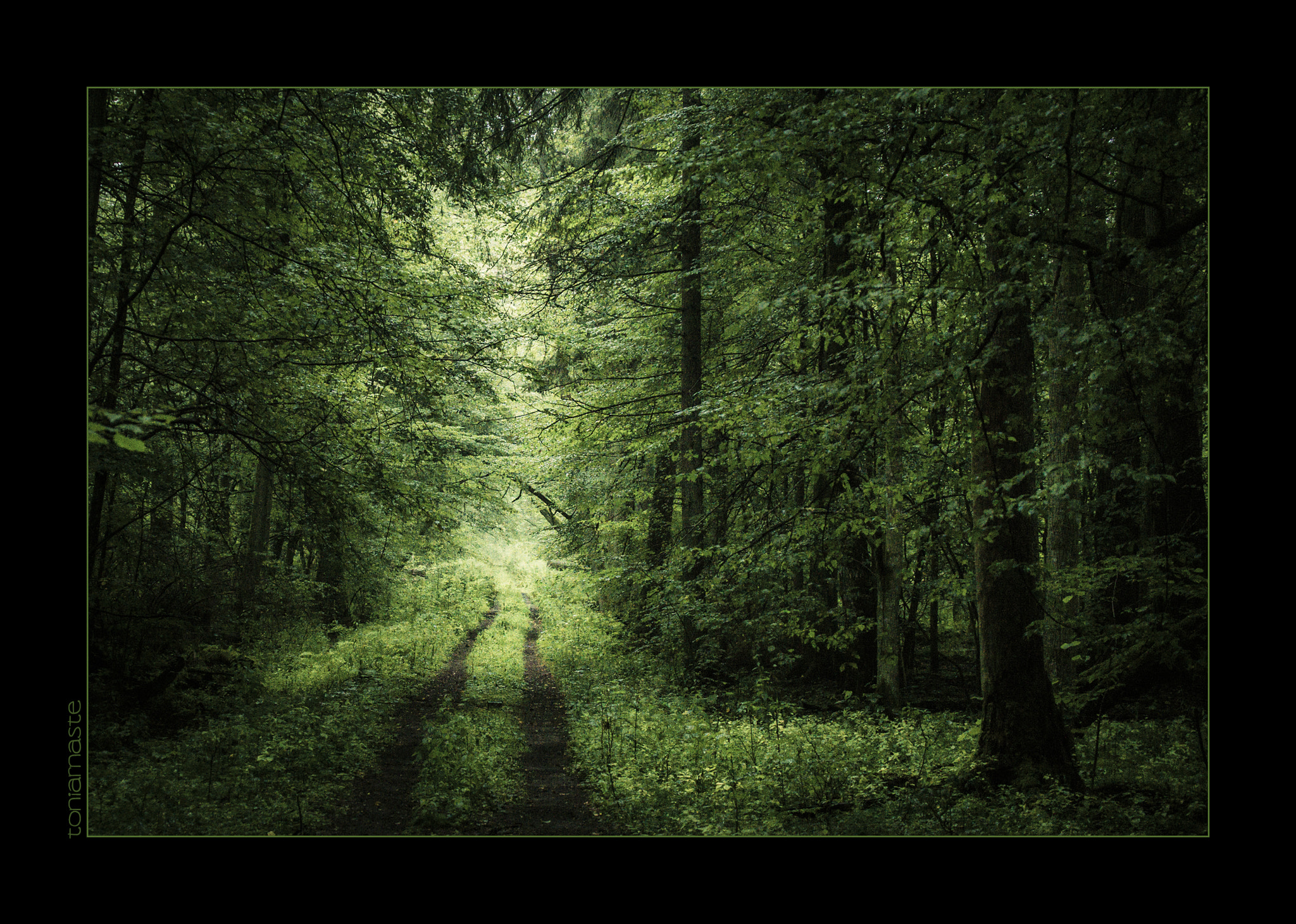 Sigma 50-500mm F4.5-6.3 DG OS HSM sample photo. ...where the road is lost... photography