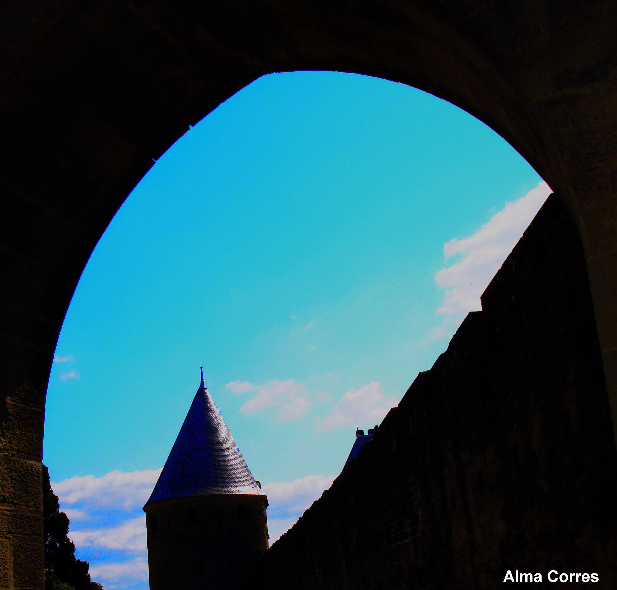 Sony DSC-W100 sample photo. My view of carcassonne photography