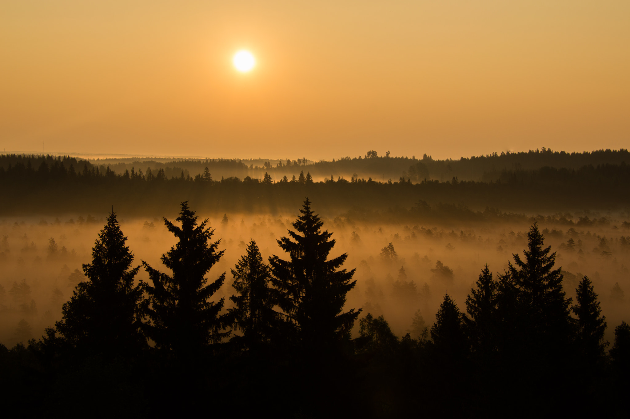 Nikon D3200 sample photo. Sun light photography