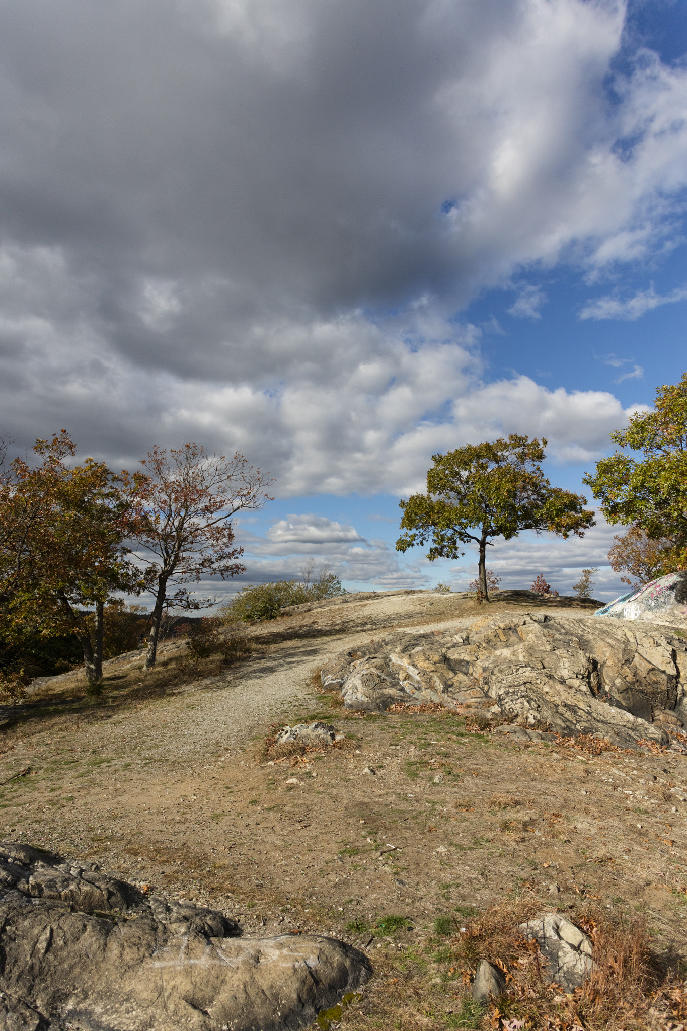 Canon EF 20-35mm F3.5-4.5 USM sample photo. Mount photography