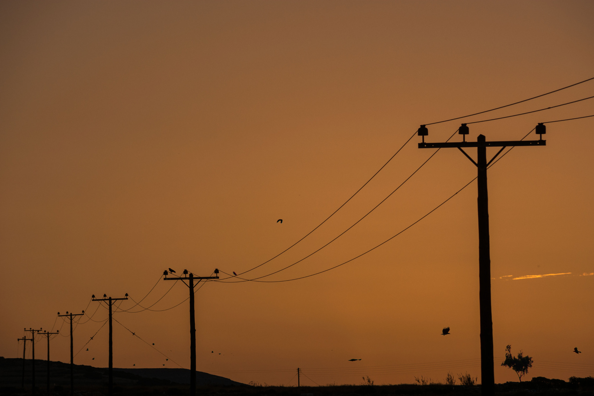 Sigma 50-150mm F2.8 EX APO DC HSM II sample photo. Golden dusk photography