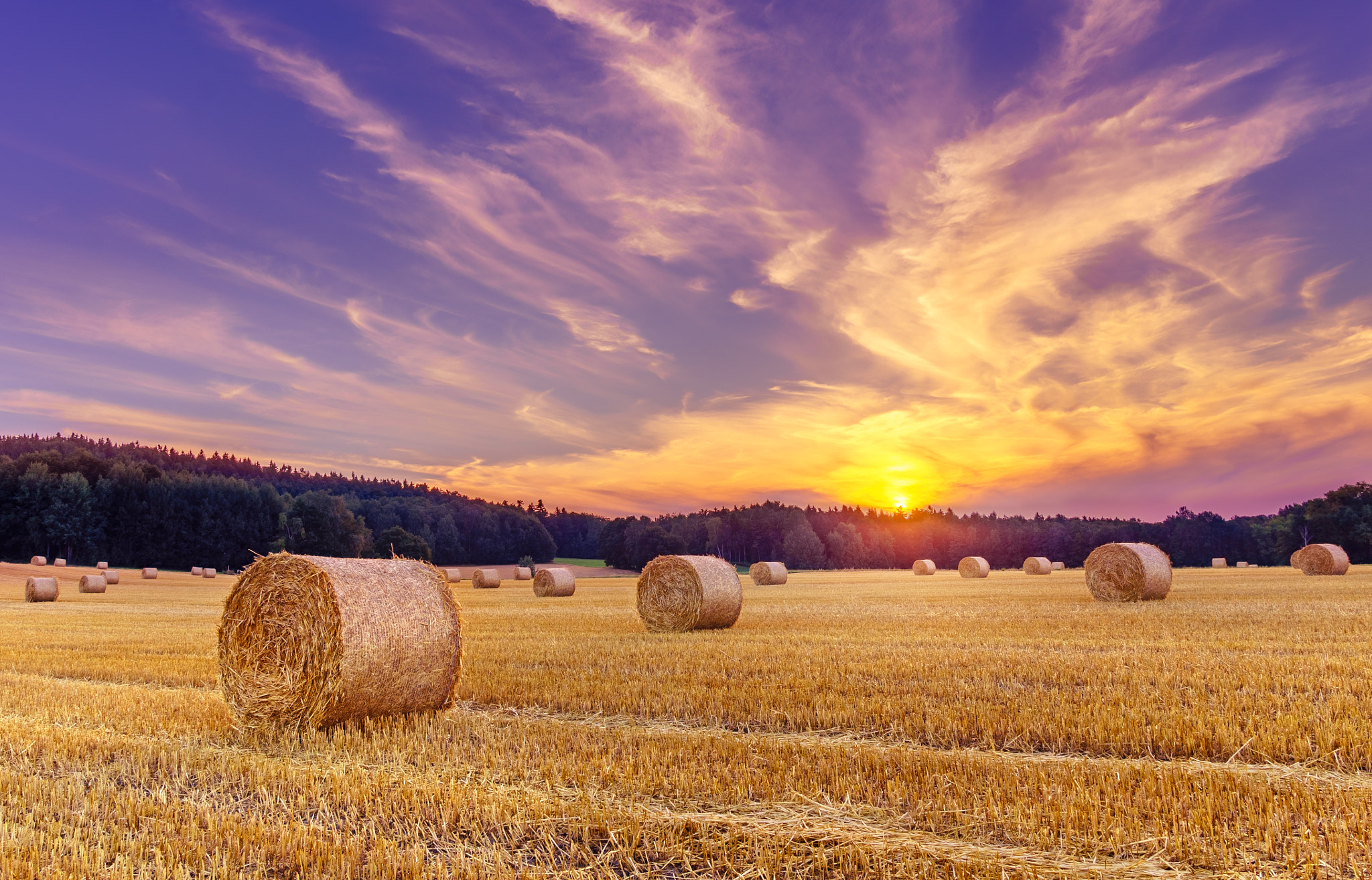 Sony Alpha NEX-6 + Sigma 19mm F2.8 EX DN sample photo. Hay bales and the setting sun photography