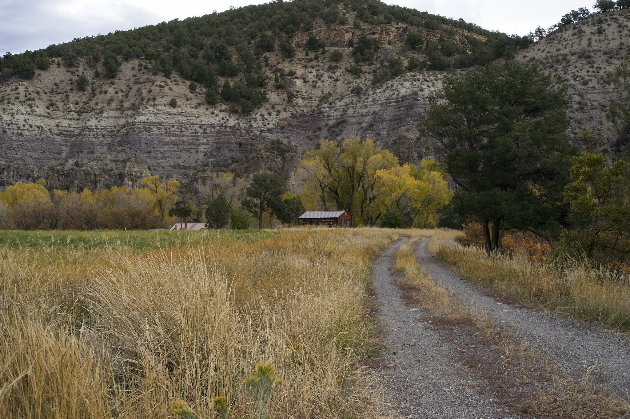 Sony a7 sample photo. View from the freeway photography