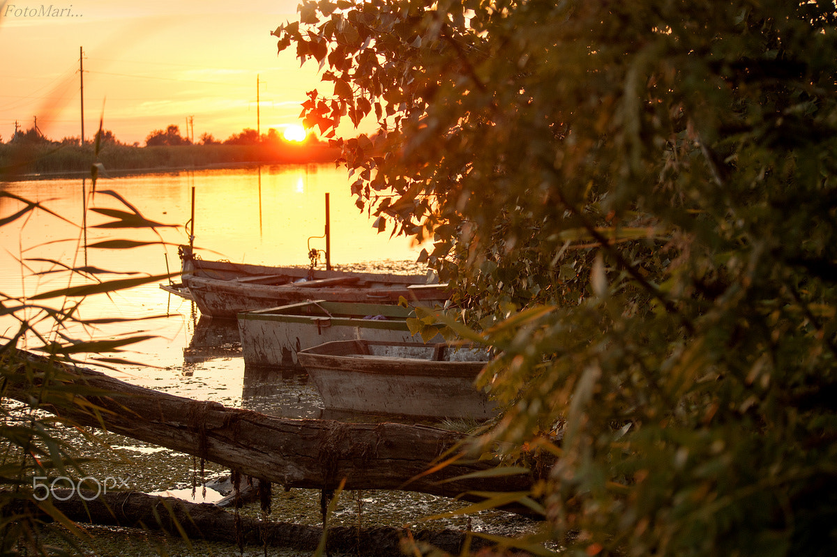 Sony Alpha DSLR-A390 sample photo. Закатное... photography