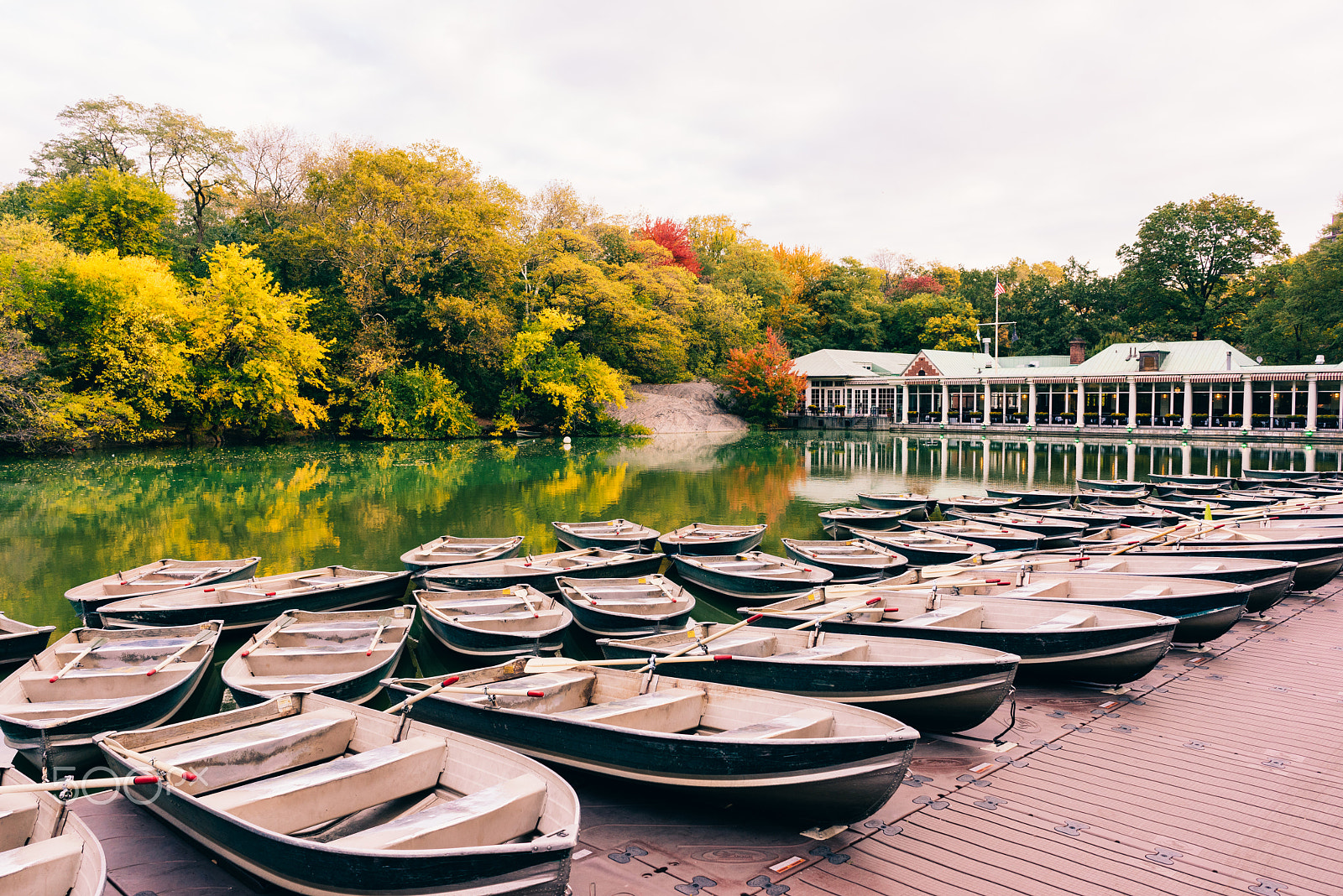 Sony a7R + Sony FE 28mm F2 sample photo. Row, row, row your boat photography