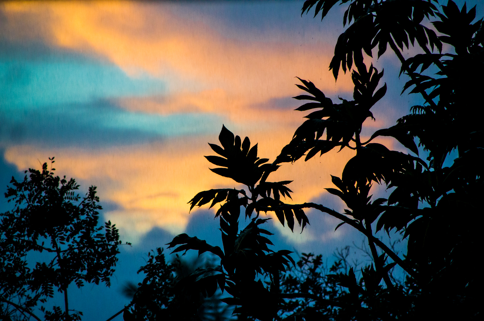 Sigma 28-300mm F3.5-6.3 DG Macro sample photo. Sky on fire photography