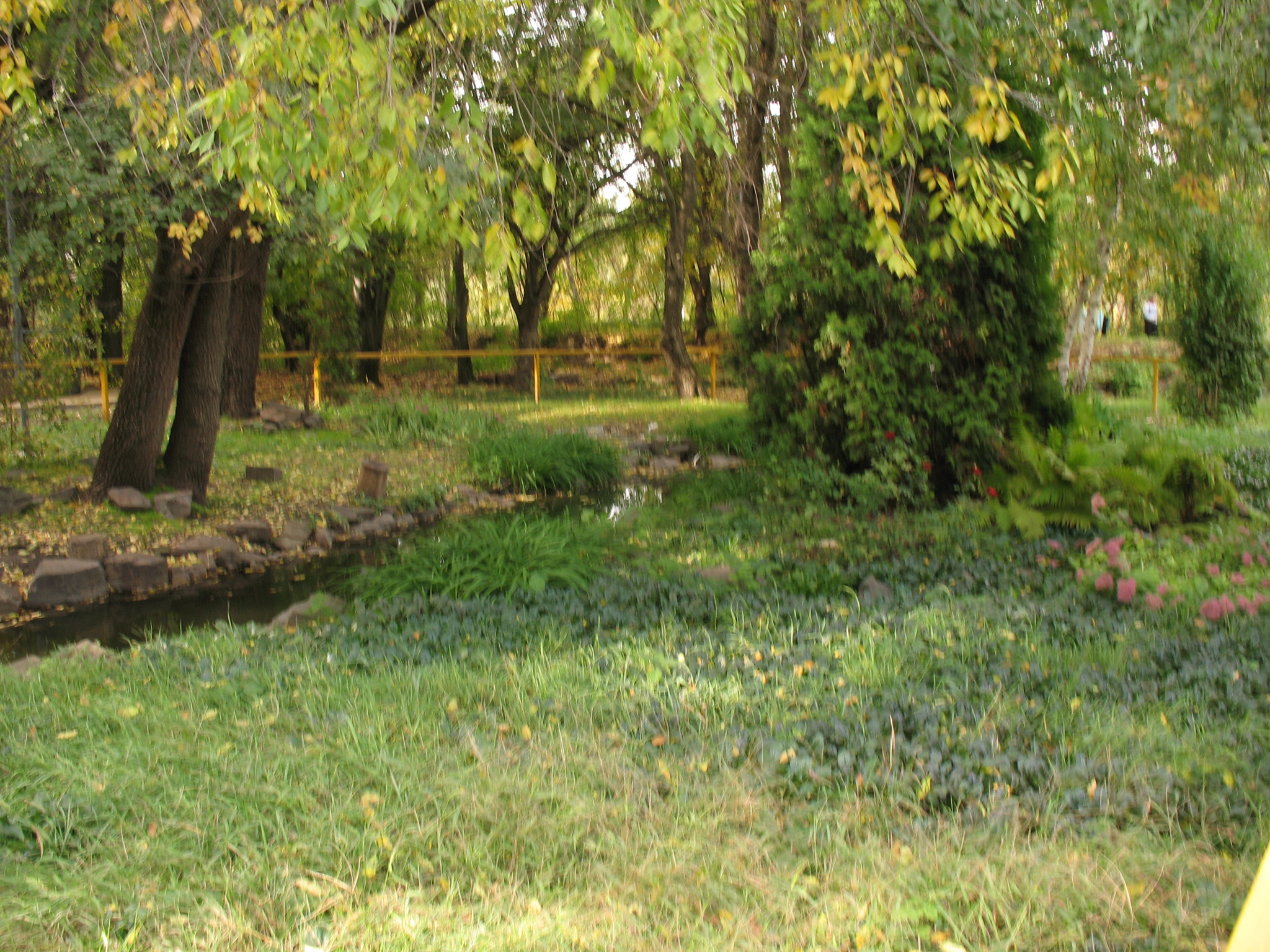 Canon POWERSHOT A630 sample photo. Autumn in the park. photography