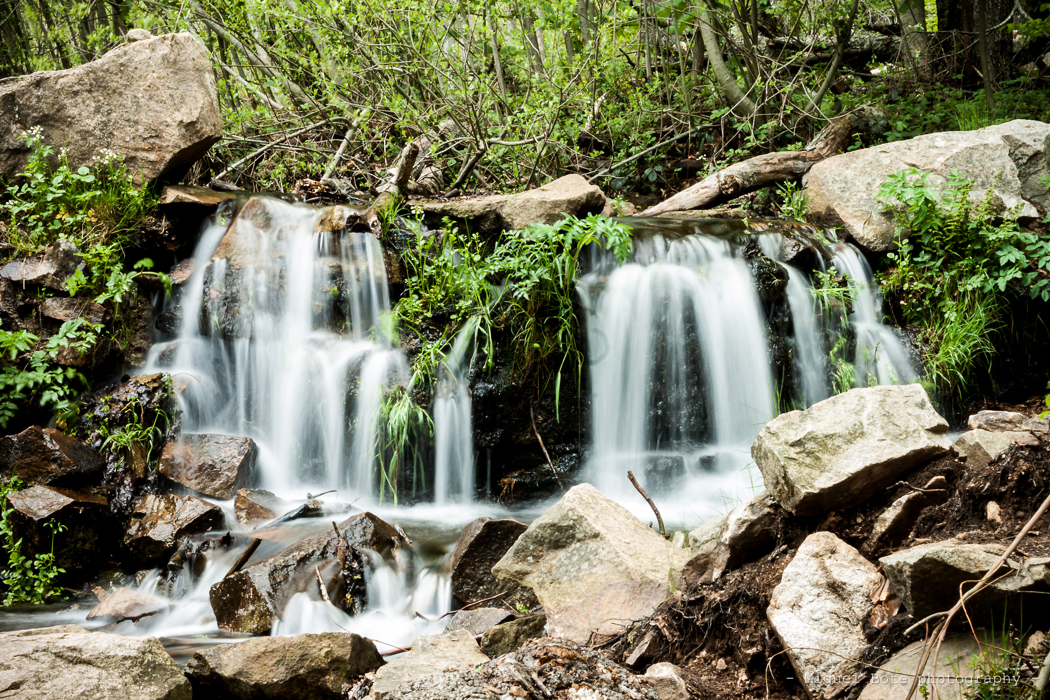 Canon EOS 500D (EOS Rebel T1i / EOS Kiss X3) sample photo. - cascadeando en primavera - ... photography