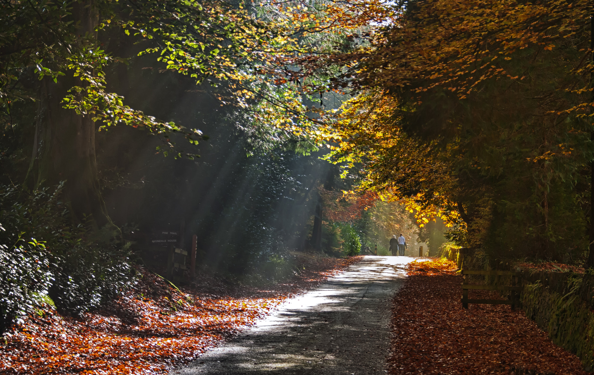 Sigma 18-200mm F3.5-6.3 DC OS HSM sample photo. Autumn photography