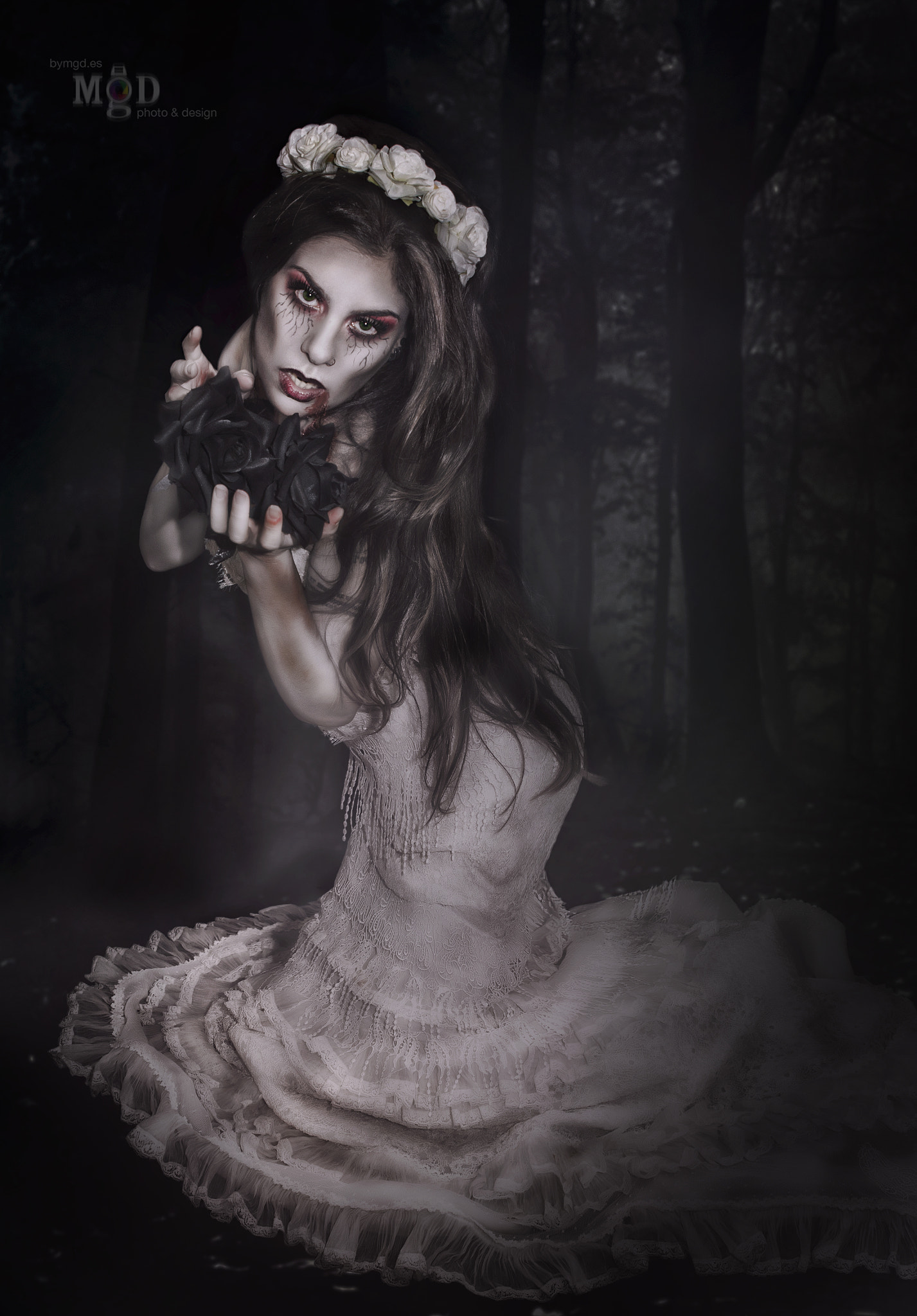 Sigma 24-70mm F2.8 EX DG HSM sample photo. Halloween photography