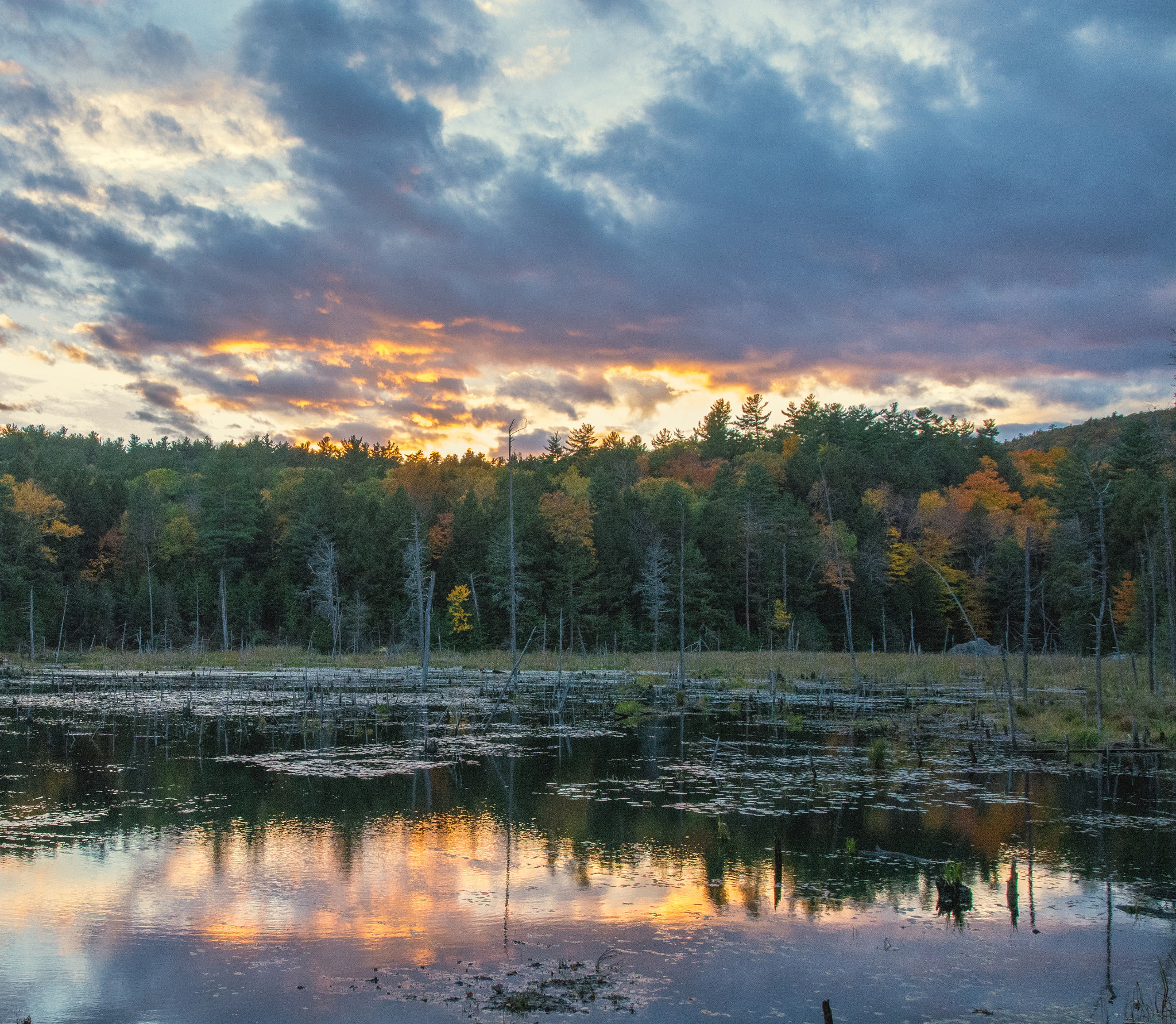 Sigma 17-70mm F2.8-4 DC Macro OS HSM sample photo. Sunset over a bog photography
