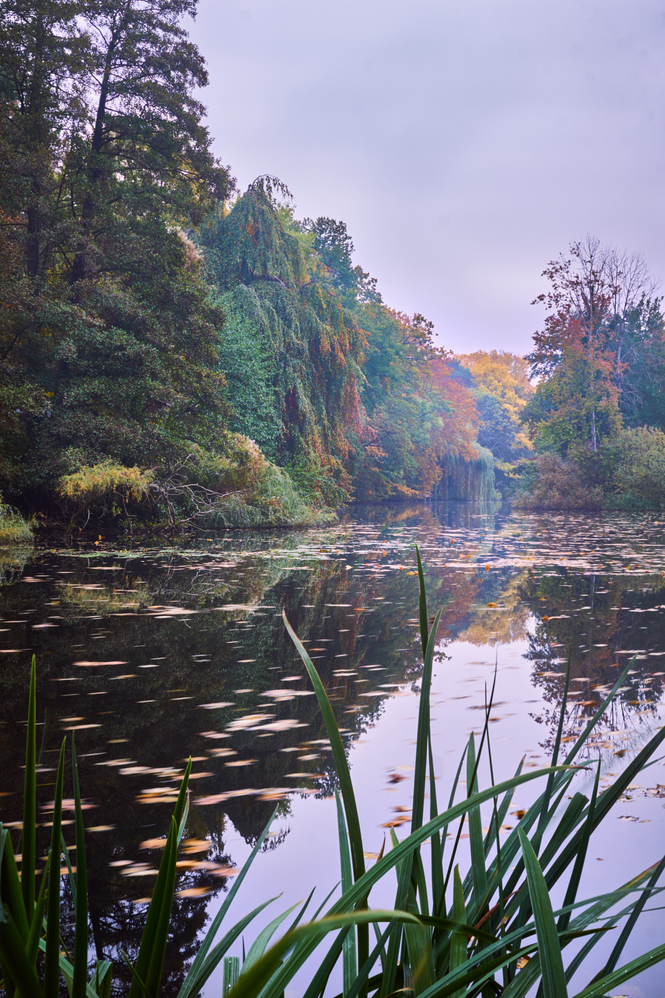 Sigma 30mm F2.8 EX DN sample photo. Hubertussee photography