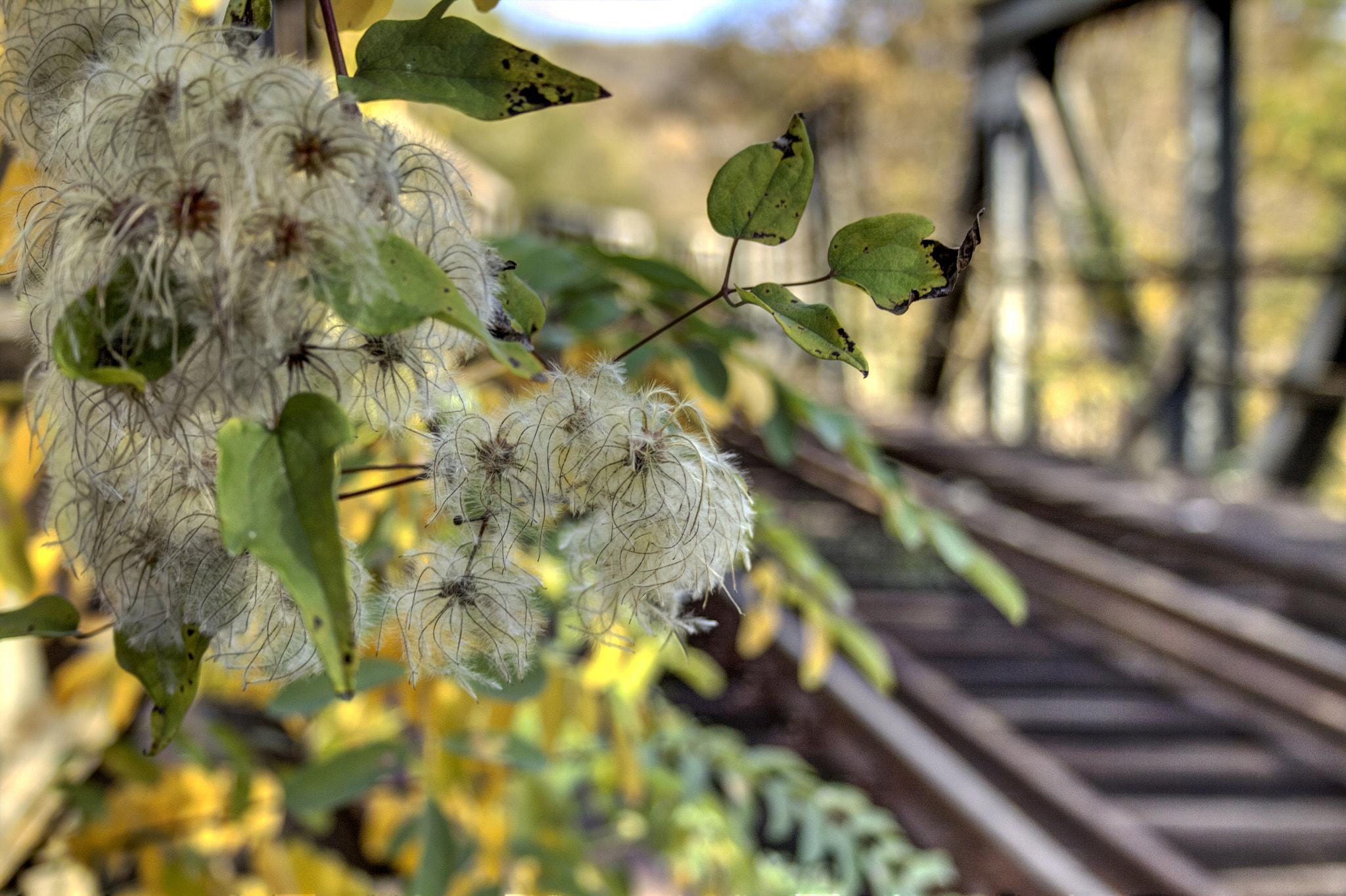 Canon EF-S 18-55mm F3.5-5.6 II sample photo. On the railway tracks photography