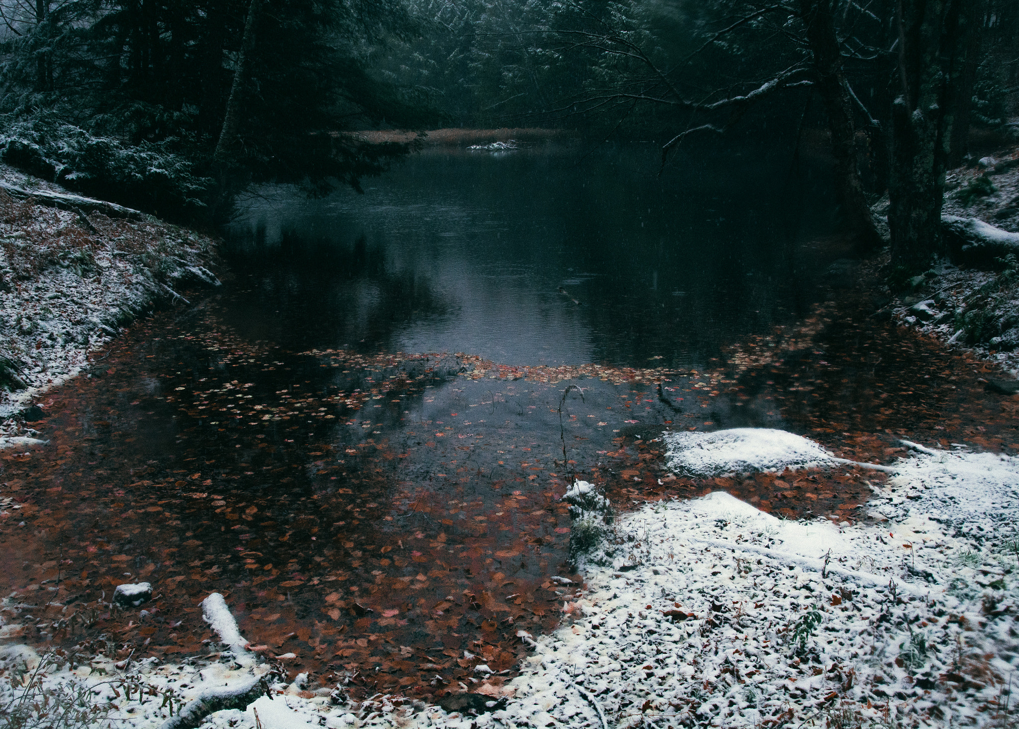 Sigma 17-70mm F2.8-4 DC Macro OS HSM sample photo. Fall and winter photography